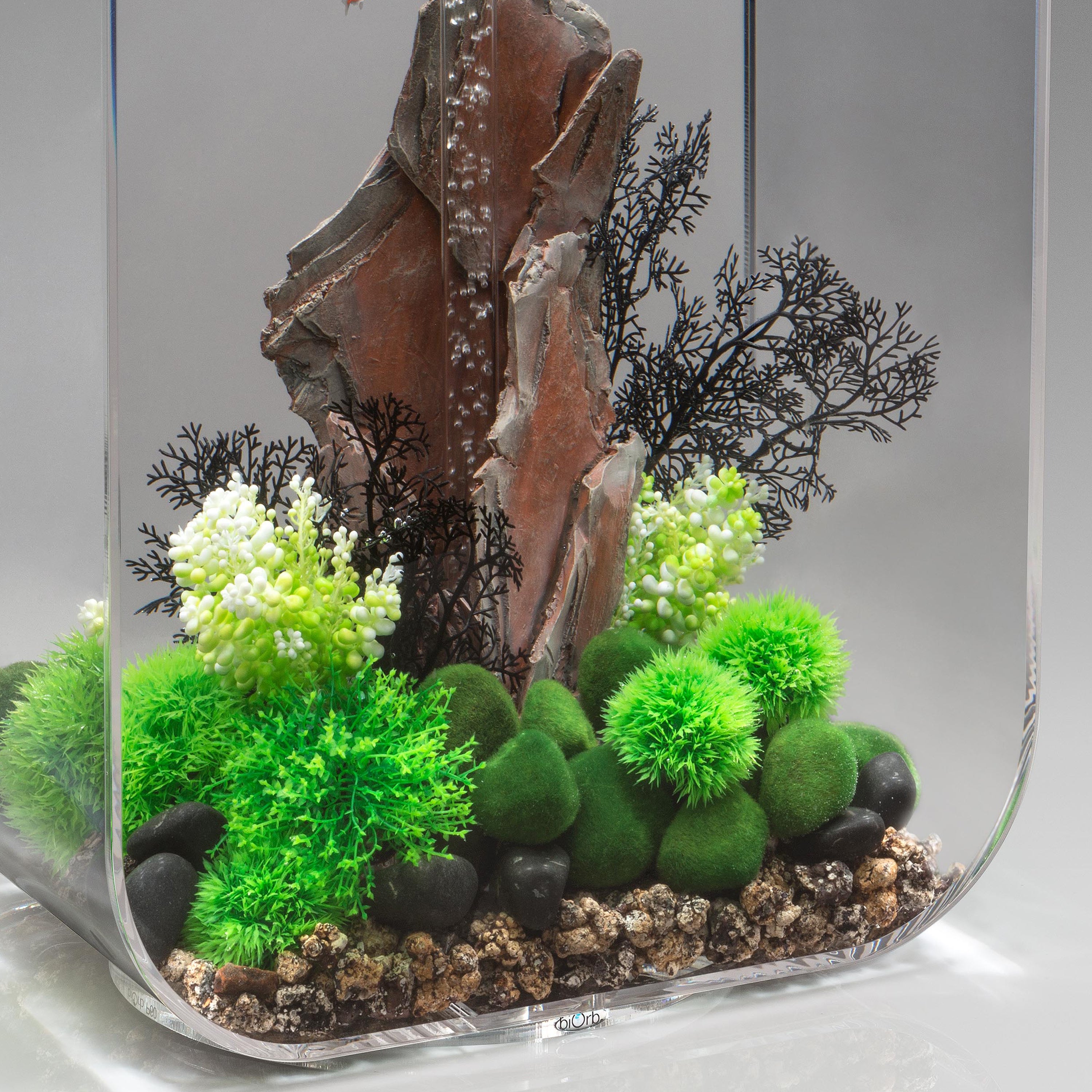 Medium Sea Fan - Black In use