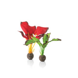 Small Green & Red Silk Plant Set