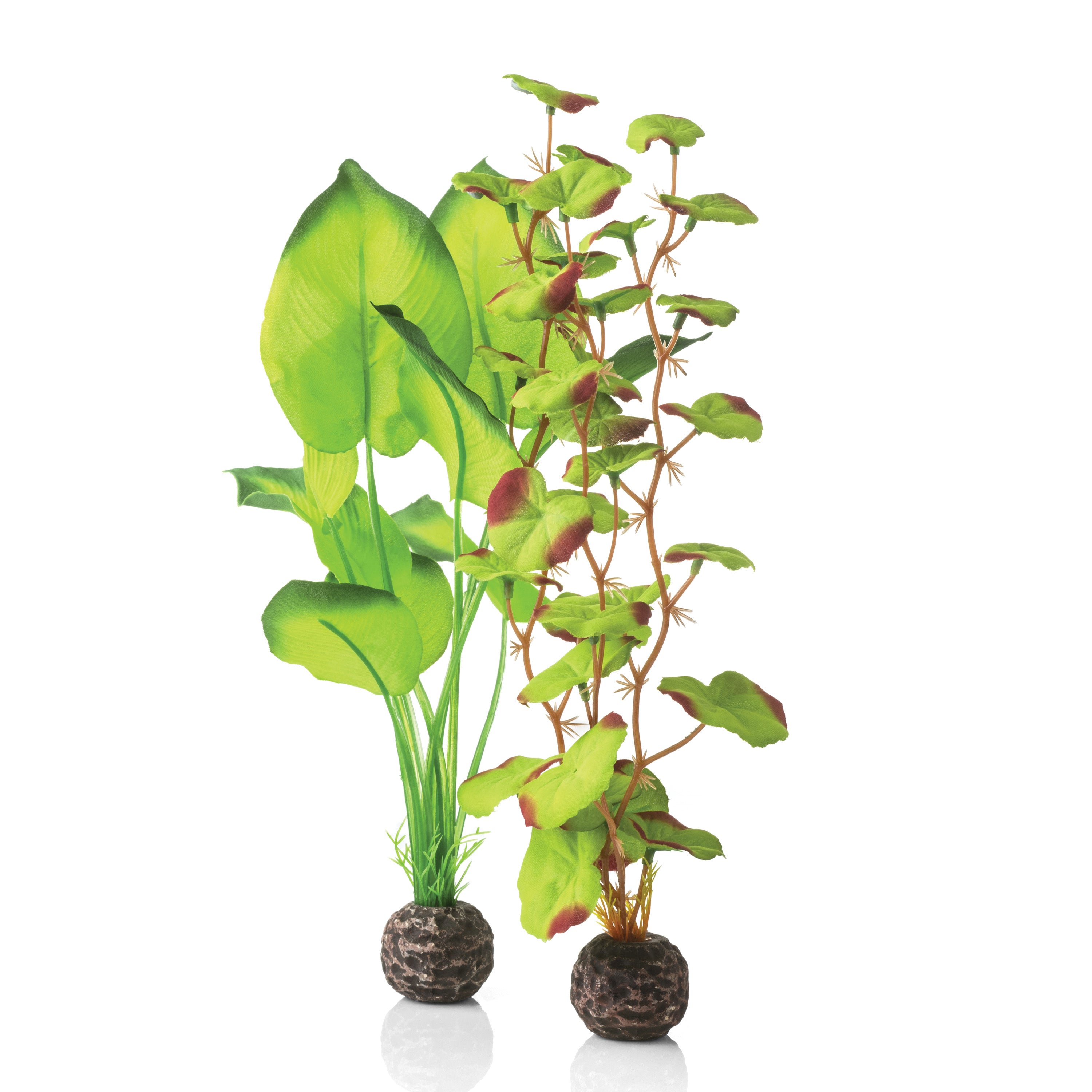 Green Silk Plant Set, medium