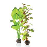 Green Silk Plant Set, medium