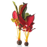 Large Green & Red Silk Plant Set