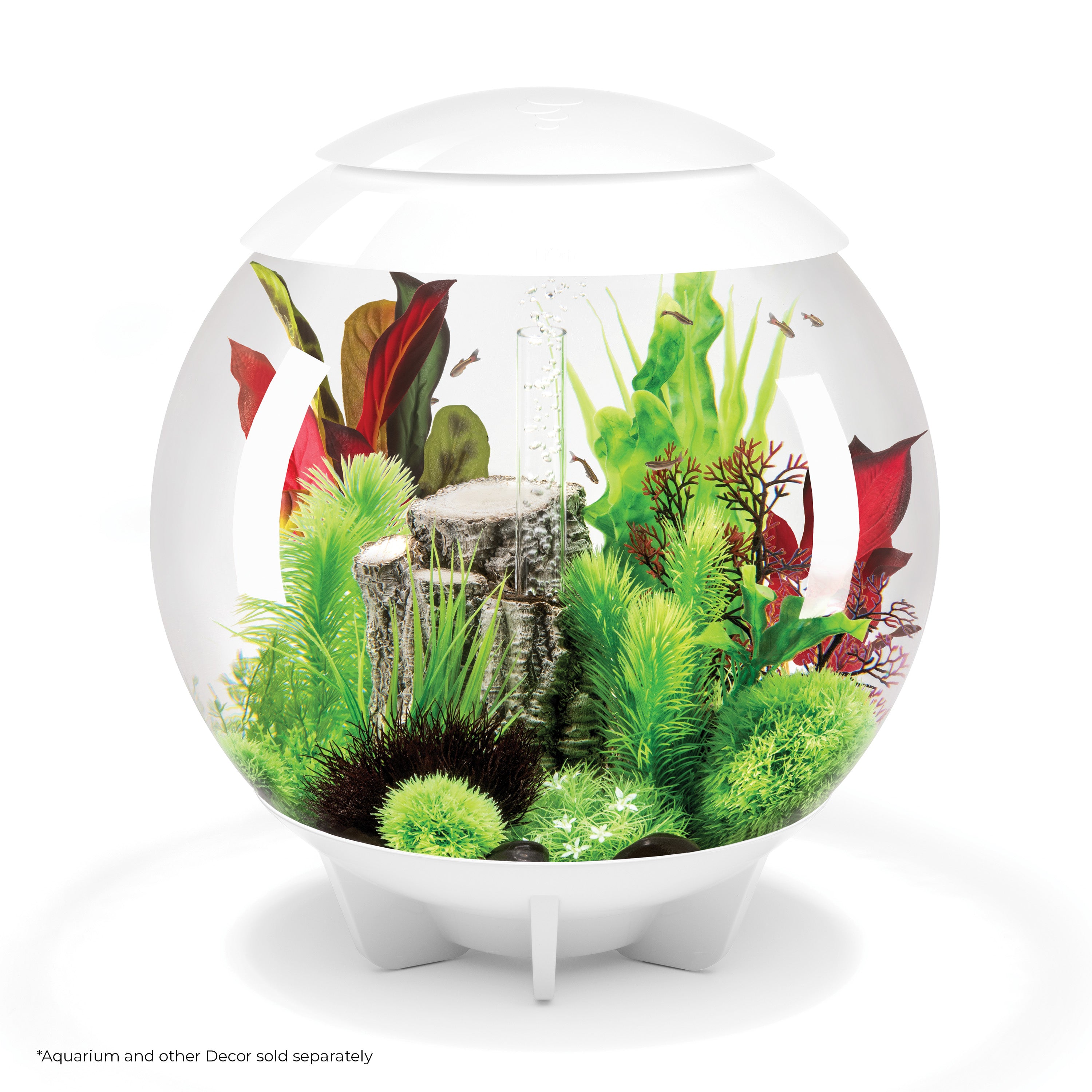 Green & Red Silk Plant Set, large - In use