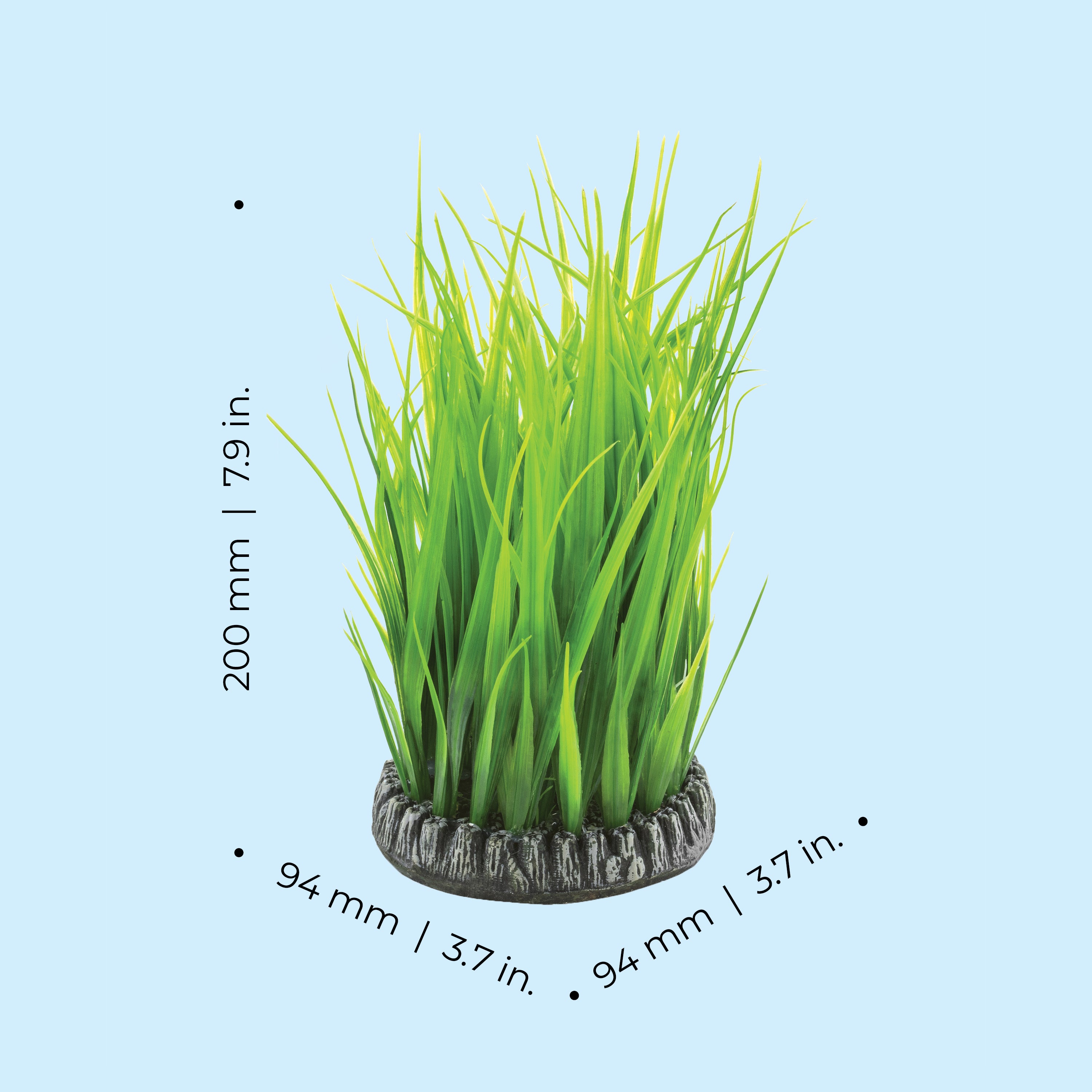 Medium Grass Ring dimensions