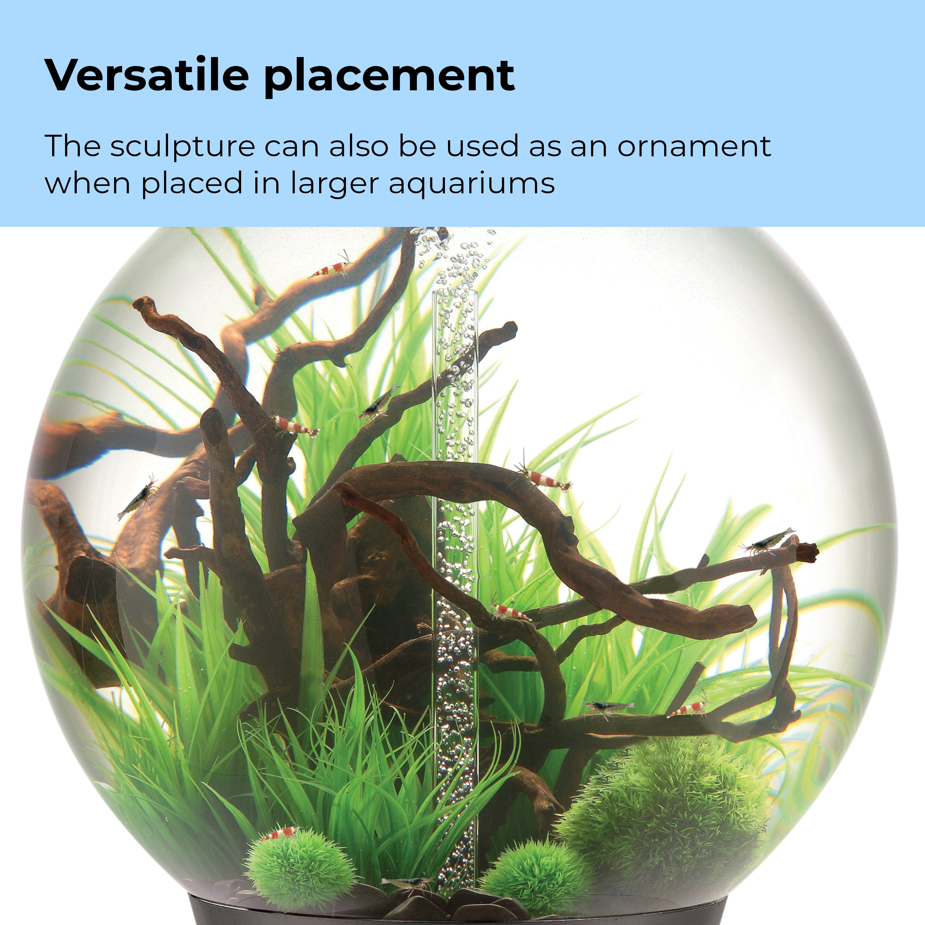 Medium Grass Ring can be used as ornament in larger aquariums