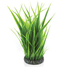 Large Grass Ring