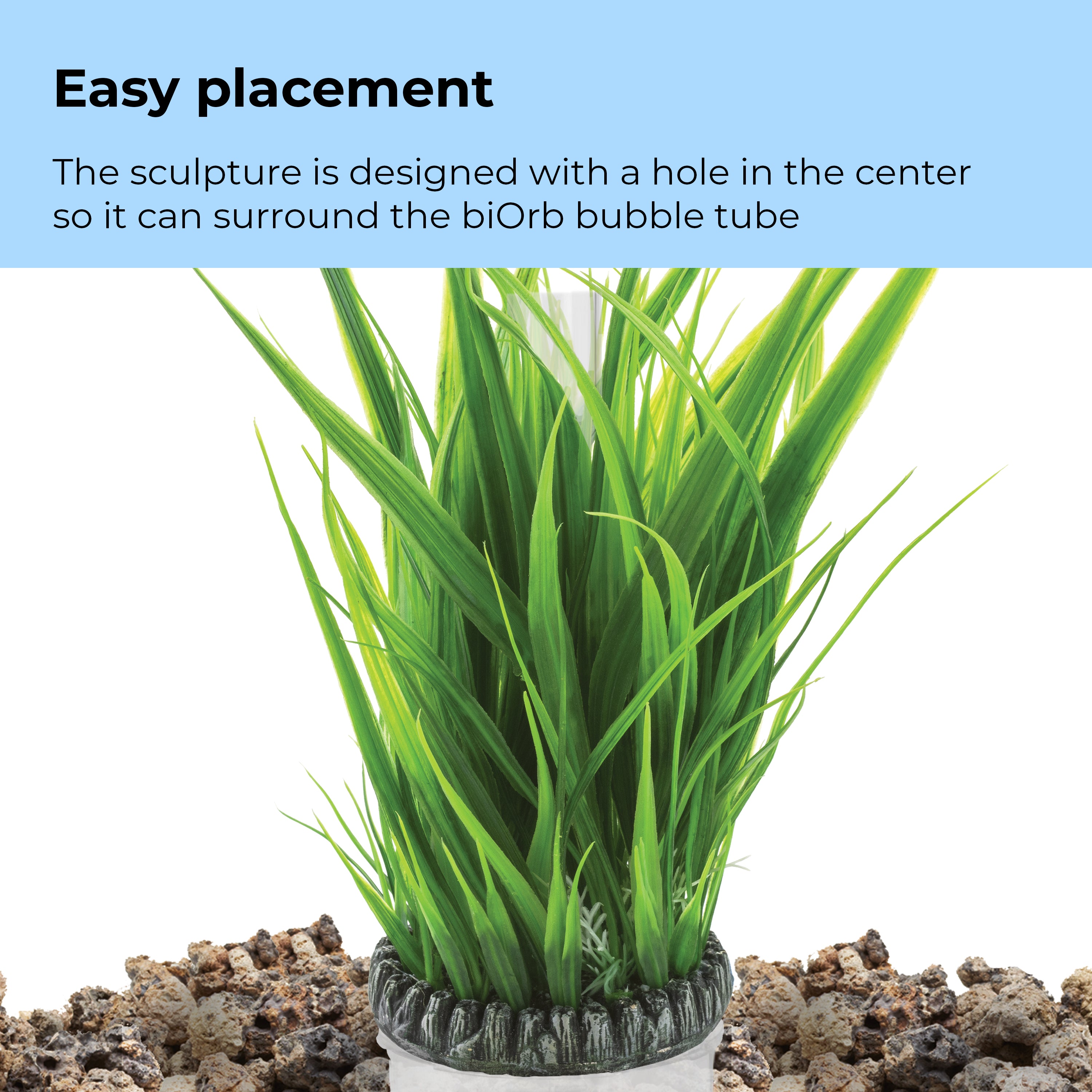 Large Grass Ring surrounds the biOrb bubble tube