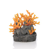 Lava Rock with Fire Coral Sculpture