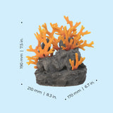 Lava Rock with Fire Coral Sculpture dimensions