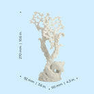 White Fan Coral Sculpture, medium - Dimensions