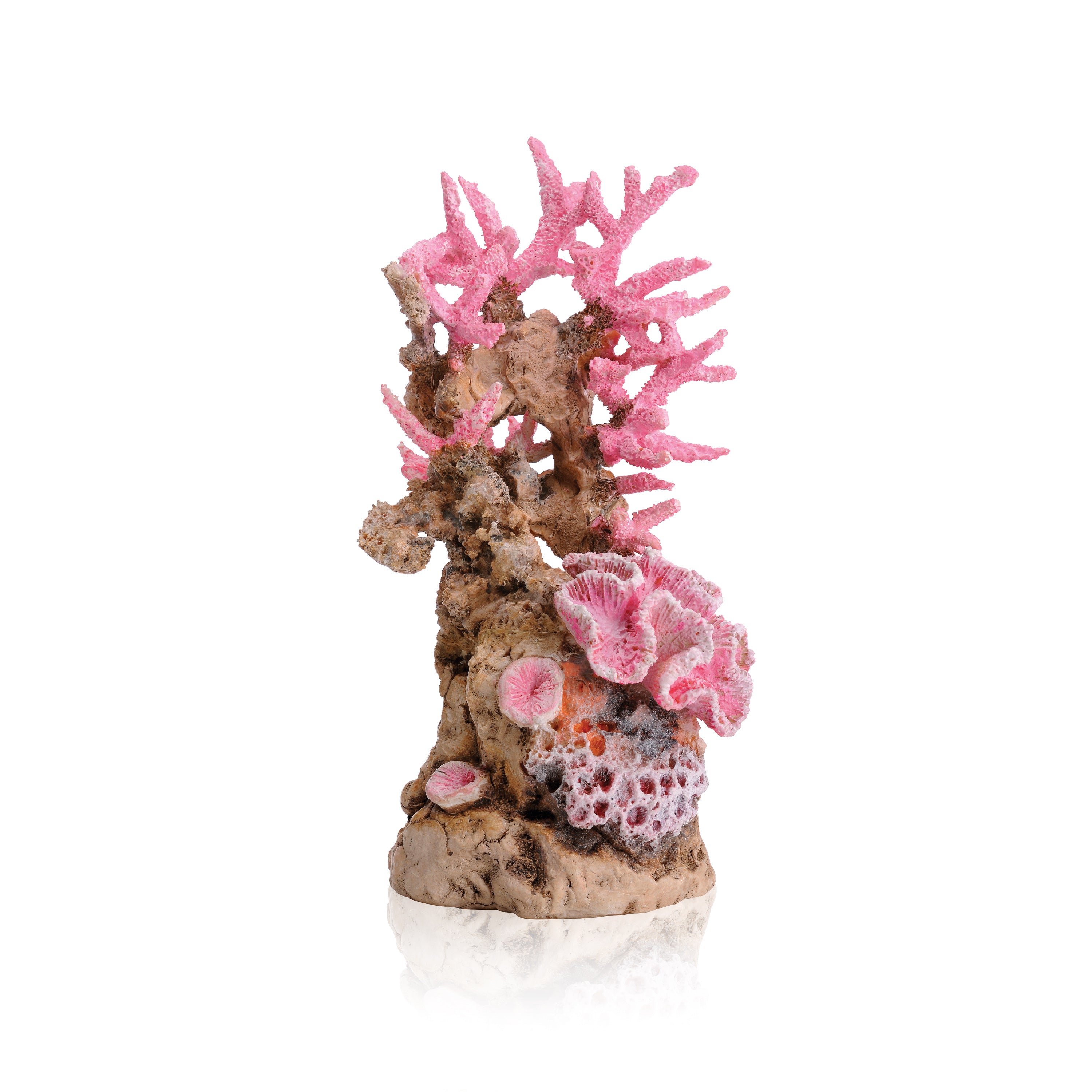 Pink Reef Sculpture