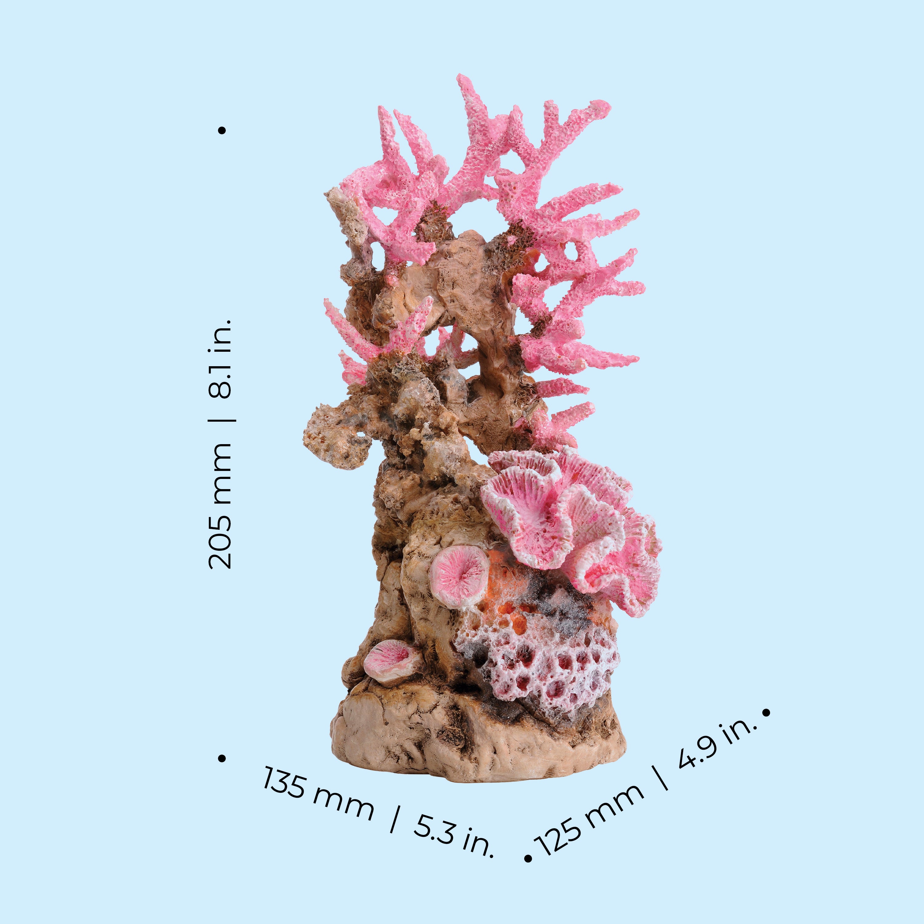 Pink Reef Sculpture - Dimensions