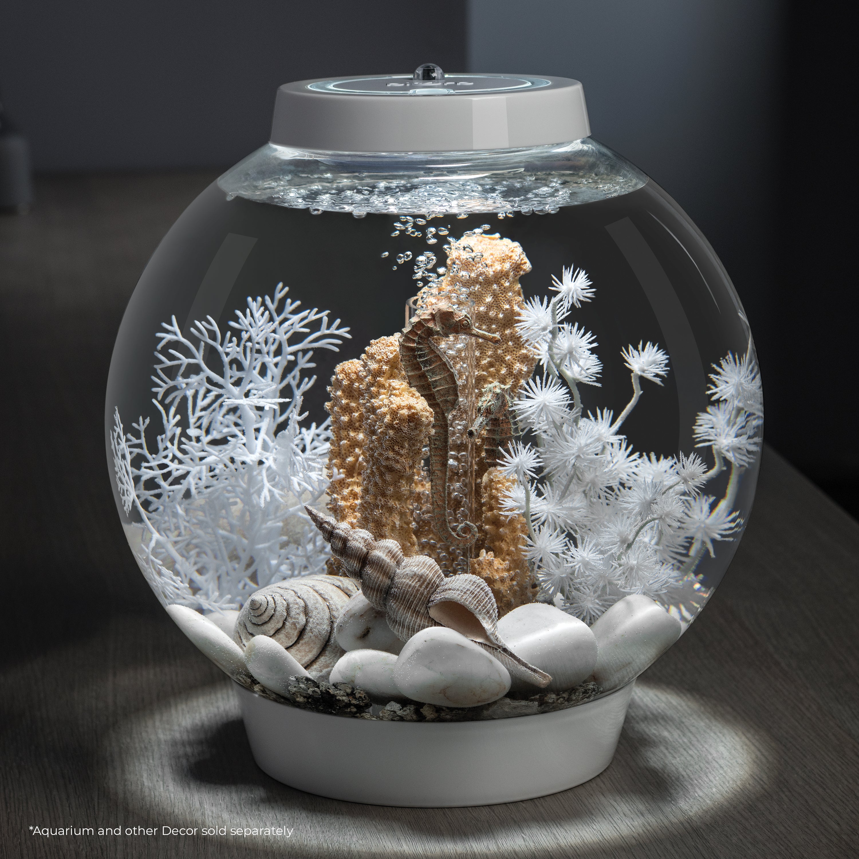 Sea Shell Set - White In use