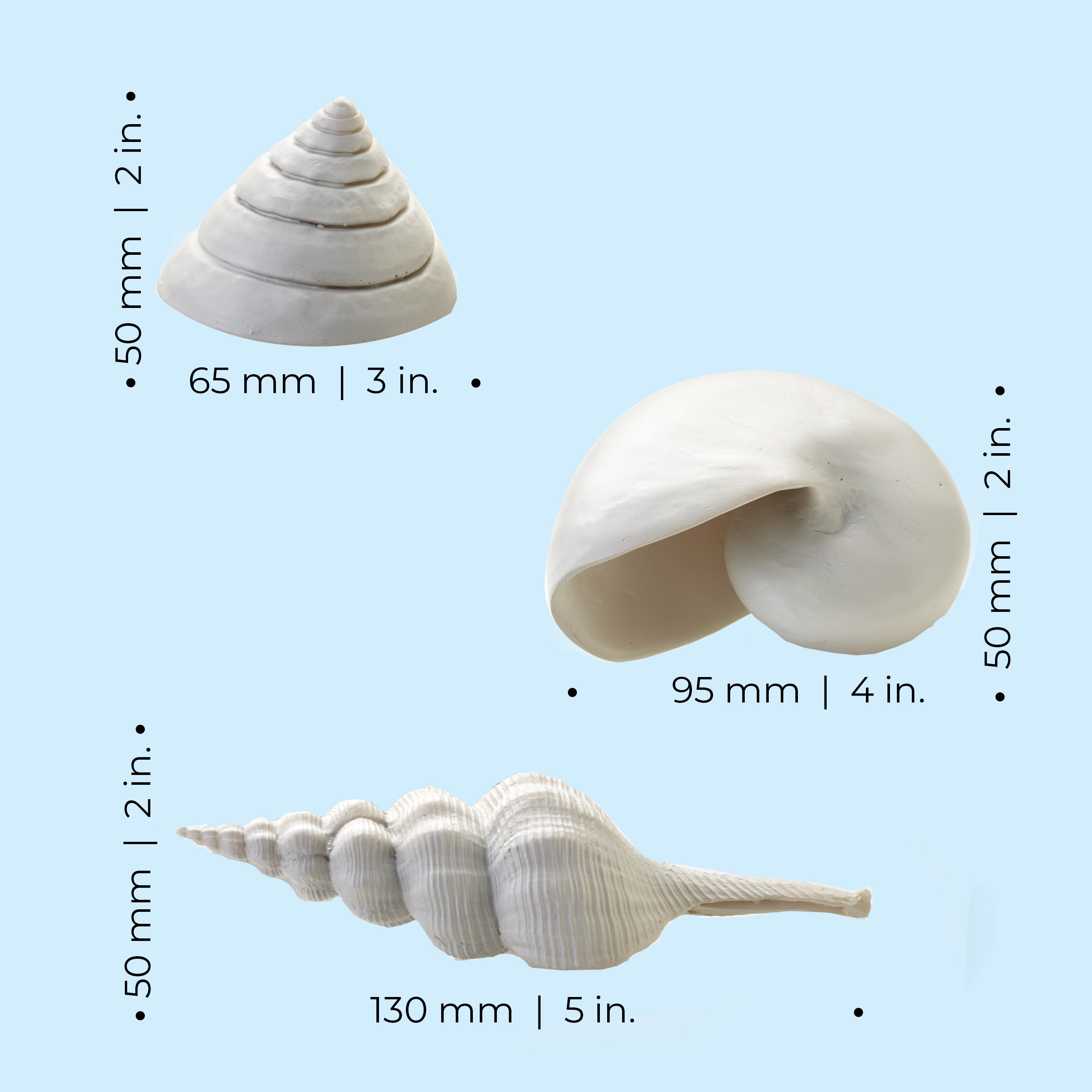 Sea Shell Set - Dimensions
