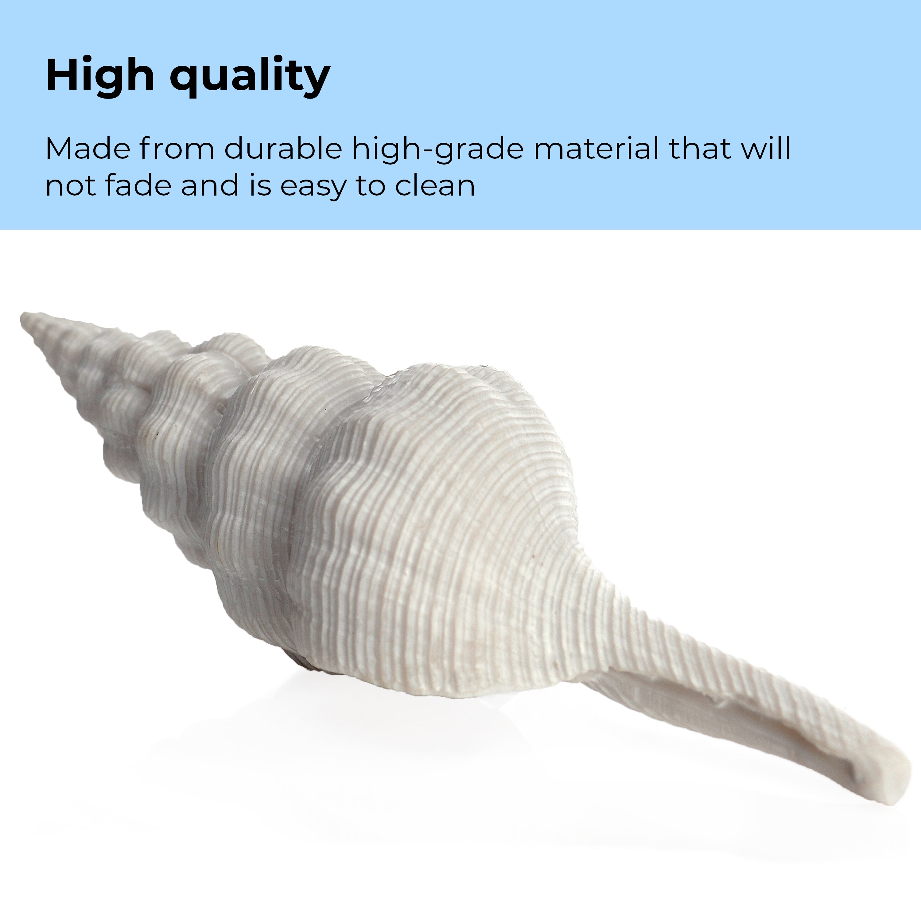 Sea Shell Set - High quality
