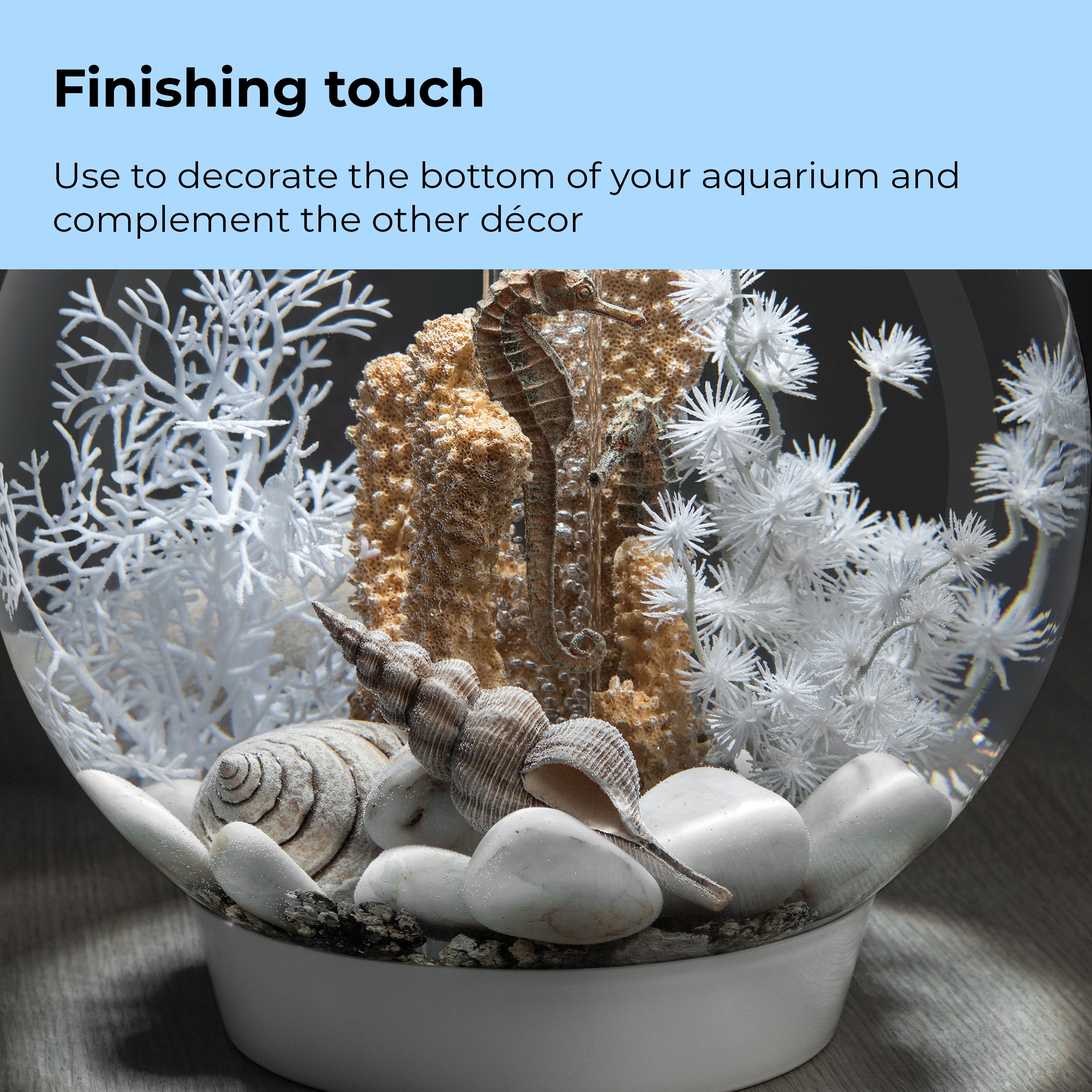 Sea Shell Set - Finishing touch