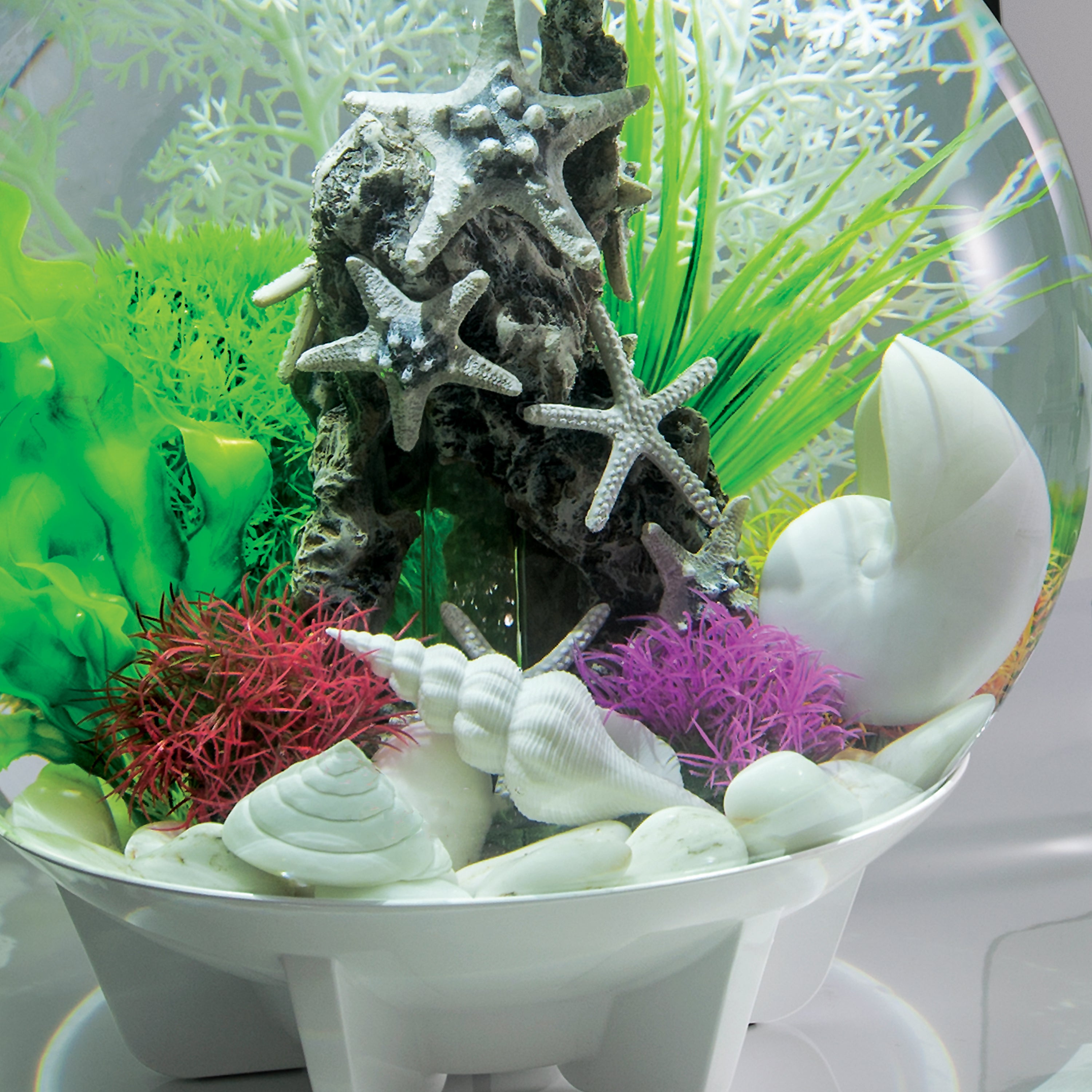 Sea Shell Set - White In use