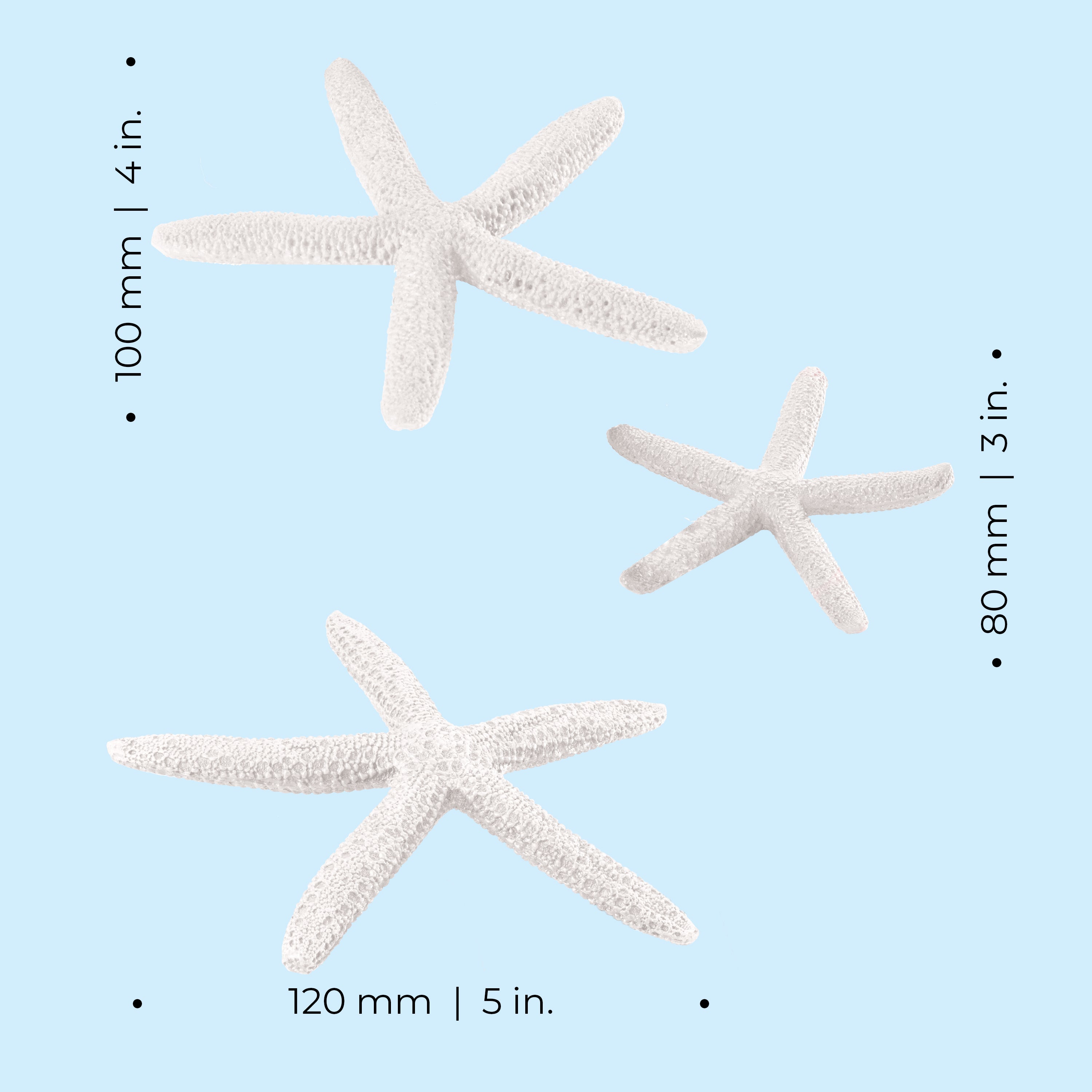Starfish Set - Dimensions
