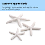 Starfish Set - Astoundingly realistic