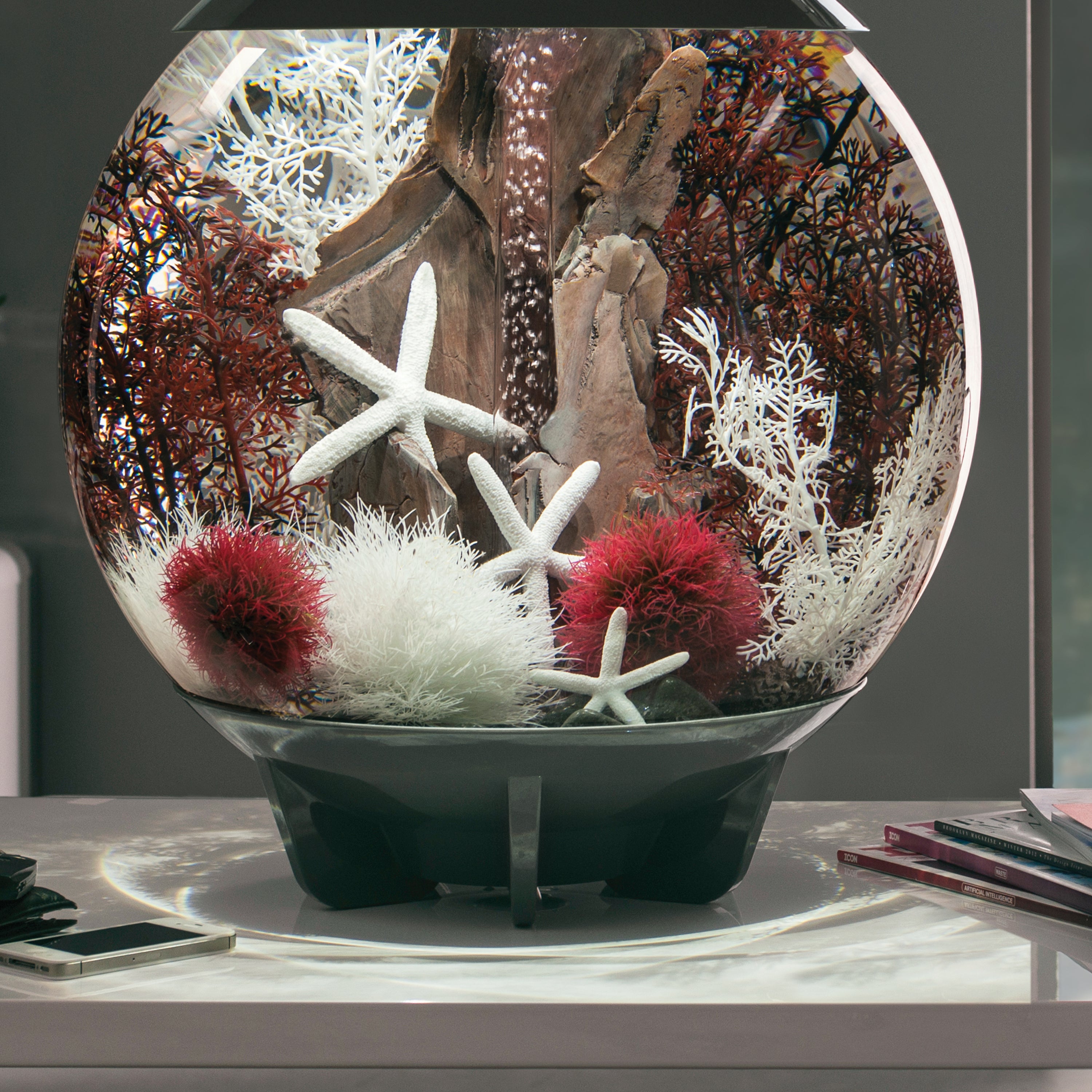 Starfish Set - White In use