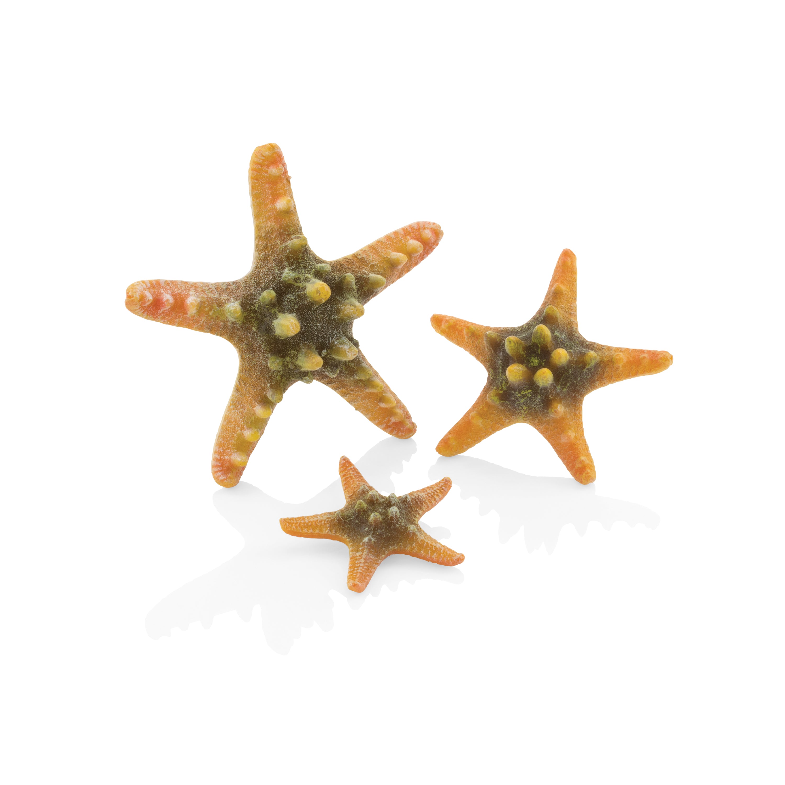 Starfish Set - Yellow