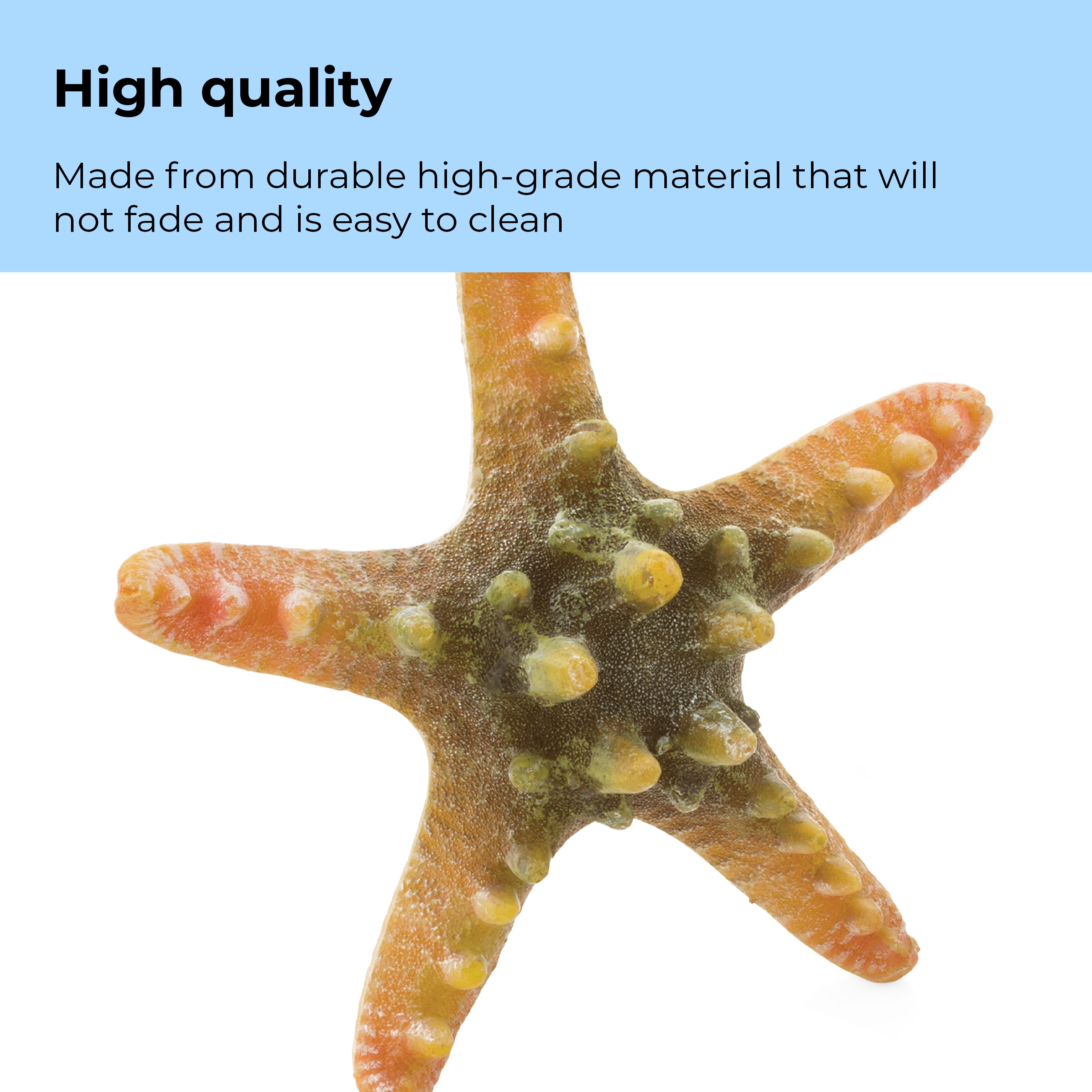 Starfish Set - High quality