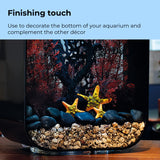 Starfish Set - Finishing touch