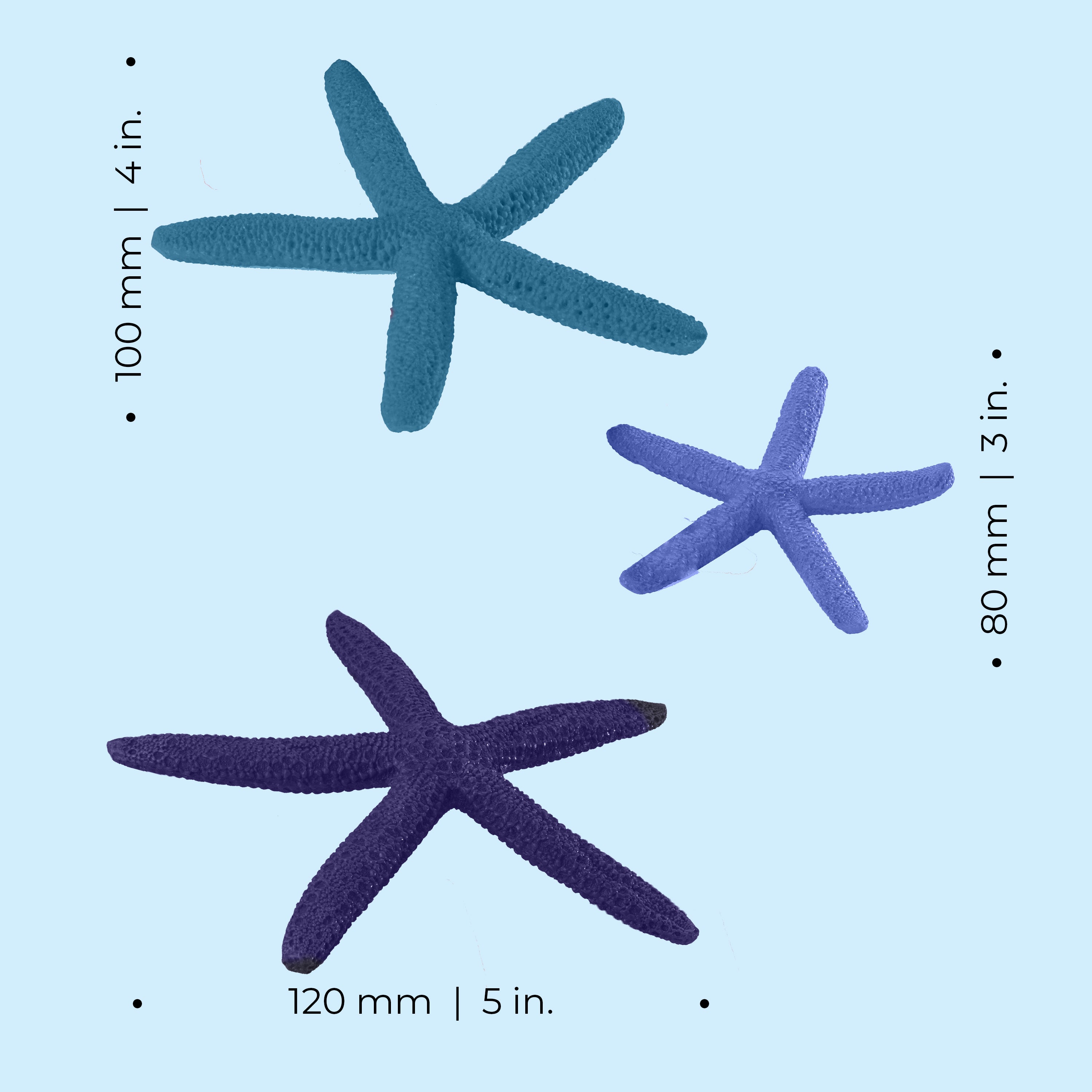 Starfish Set - Dimensions