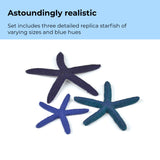 Starfish Set - Astoundingly realistic 