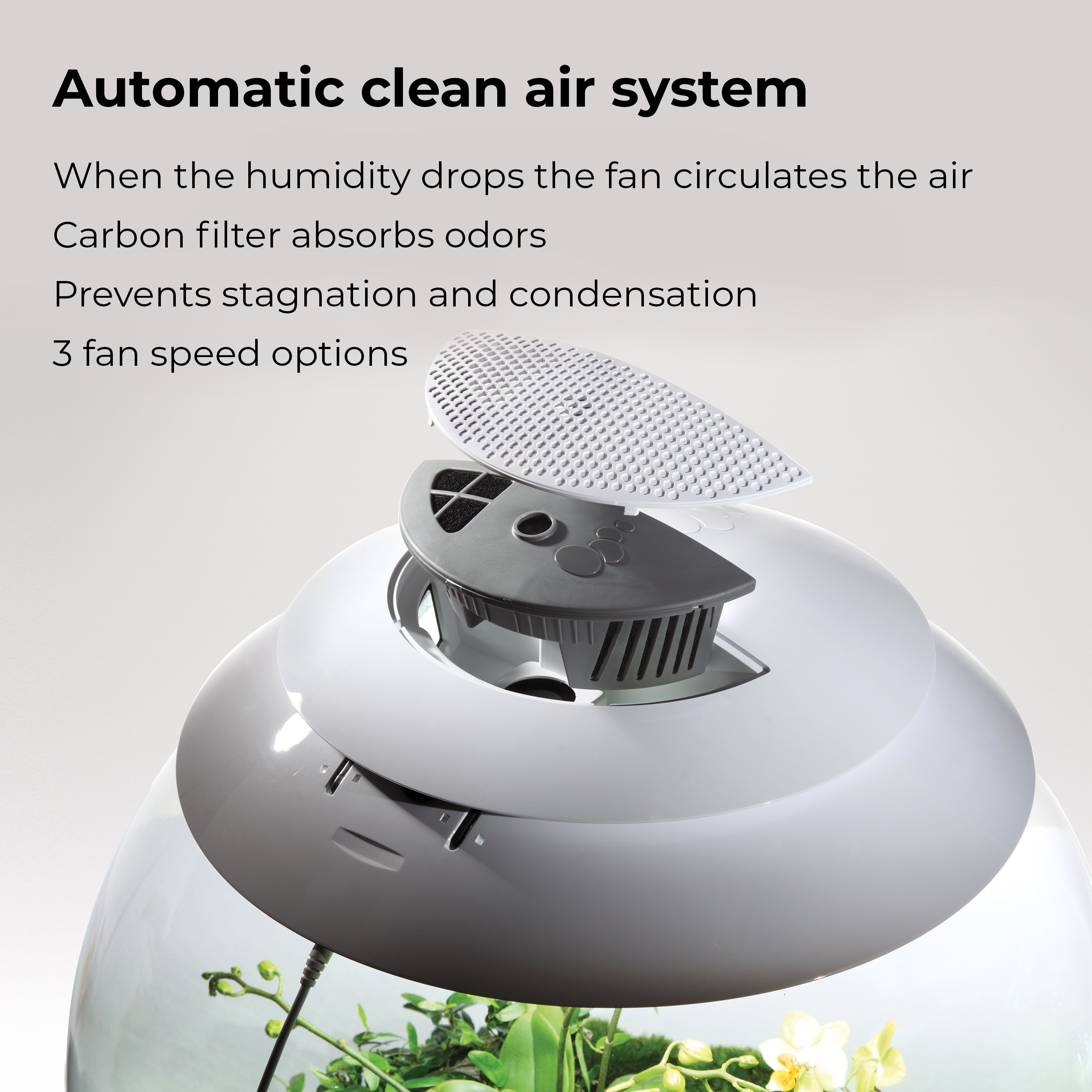 biOrb AIR 30 Terrarium - Fully Automated Terrariums