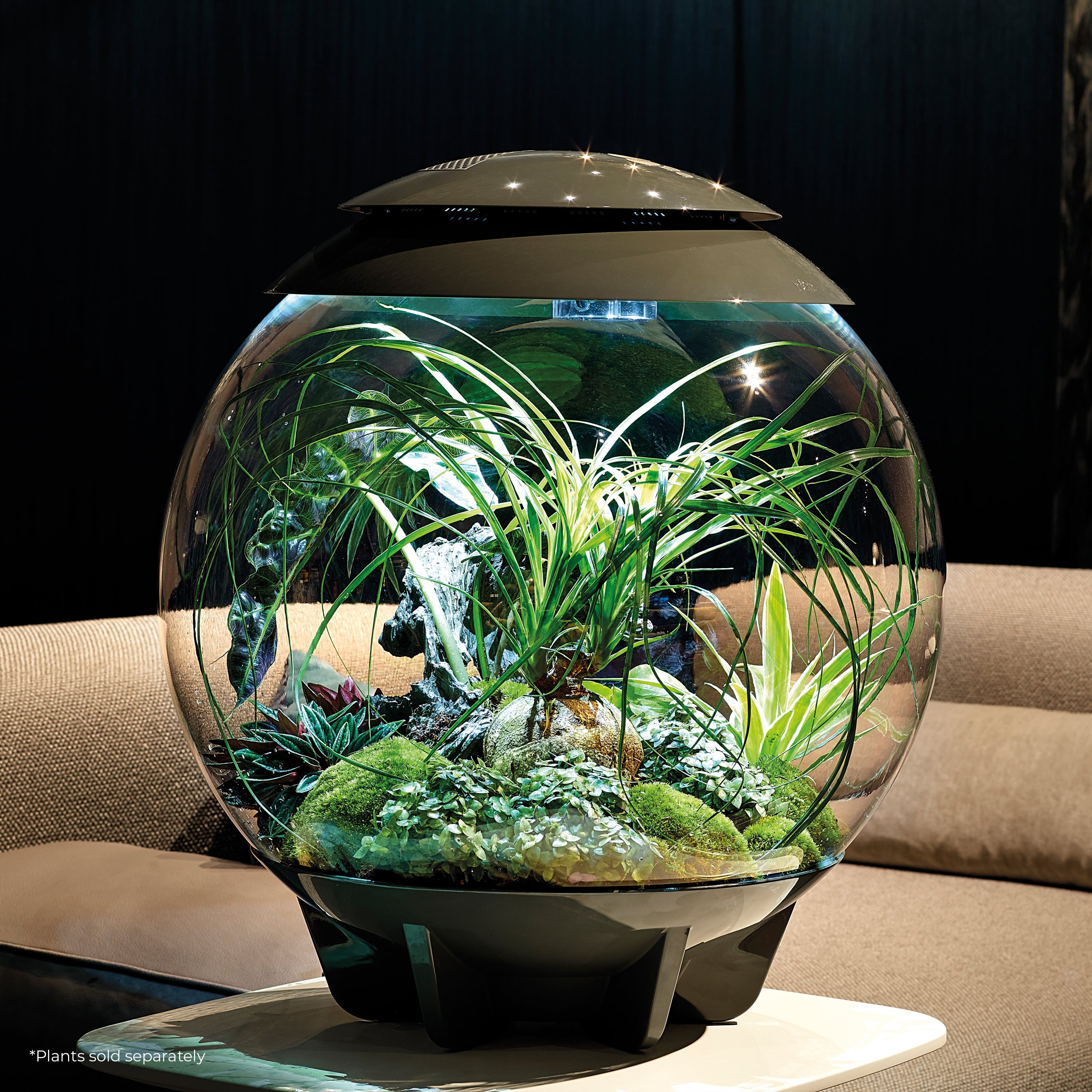 The biOrb AIR terrarium is a fully-automated 360-degree terrarium that replicates the natural conditions found under the tropical forest canopy