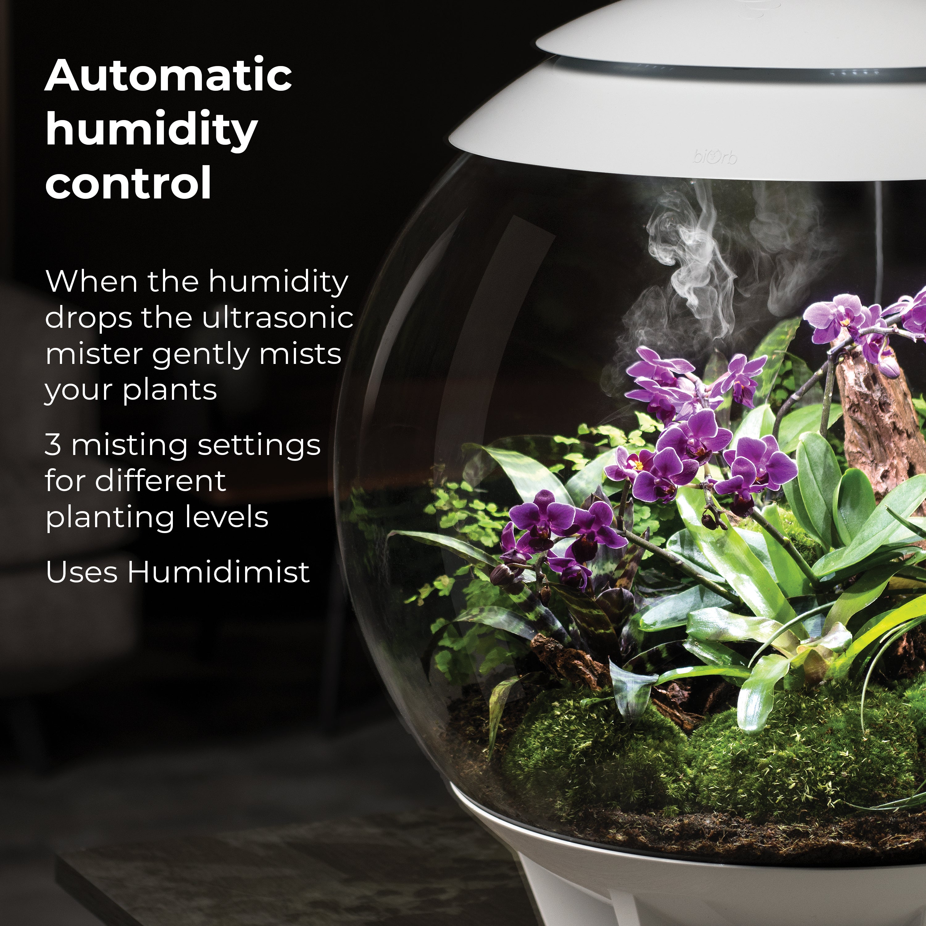 biOrb AIR 60 Automatic humidity control
