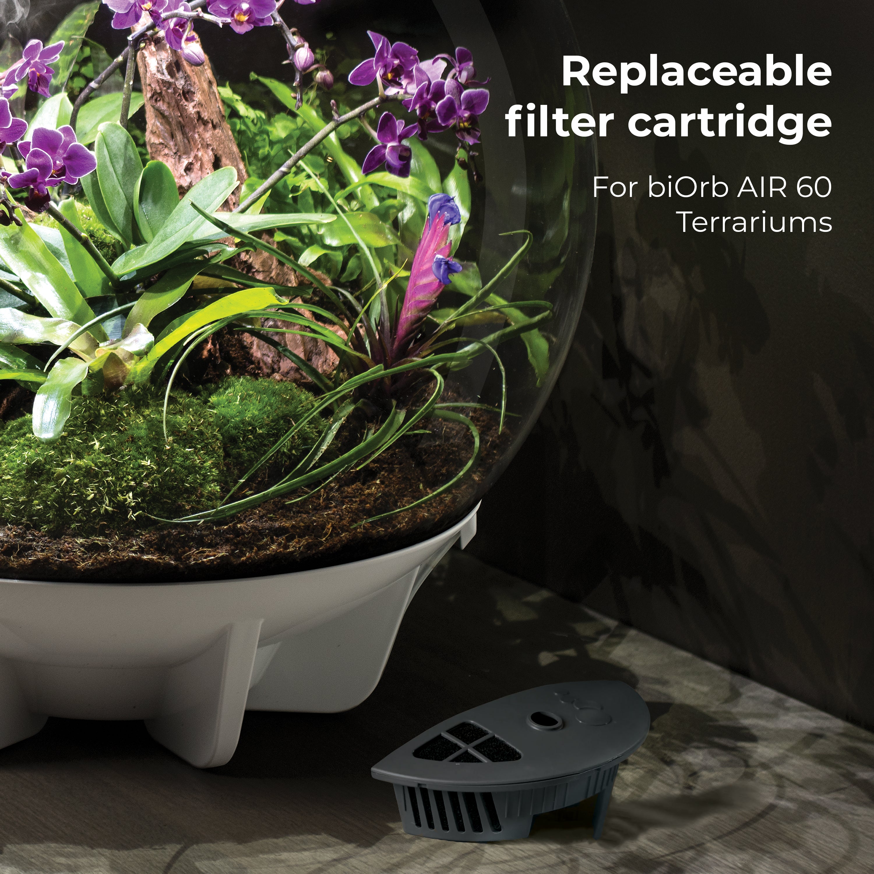 replacement filter cartridge for air 60 terrariums