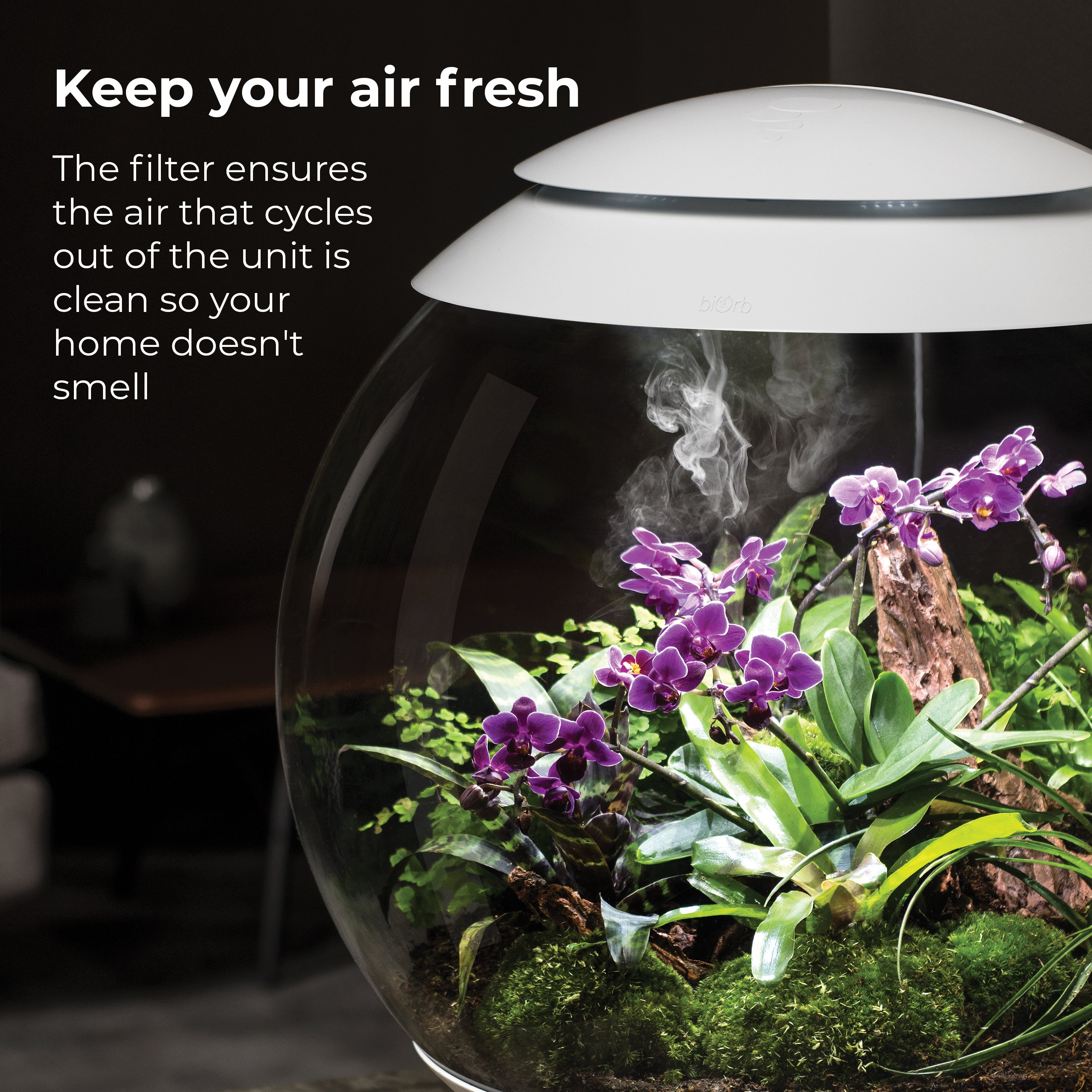 air 60 filter cartridge keeps your air fresh
