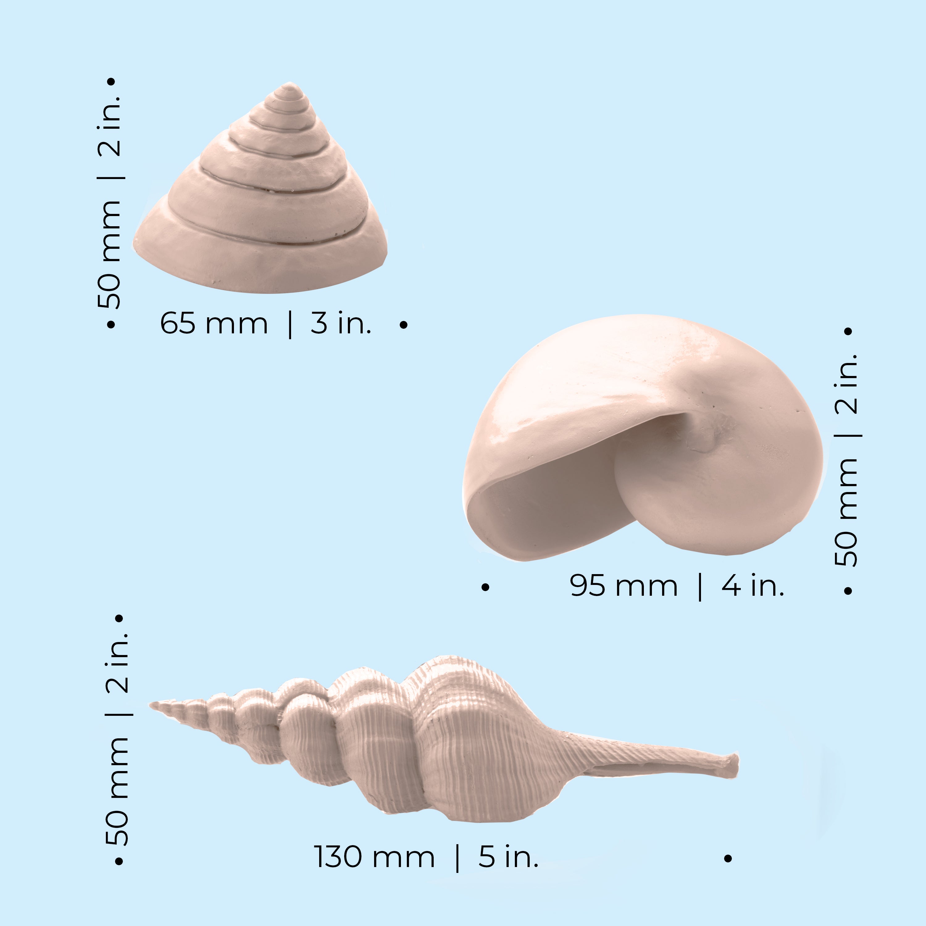 Sea Shell Set - Dimensions
