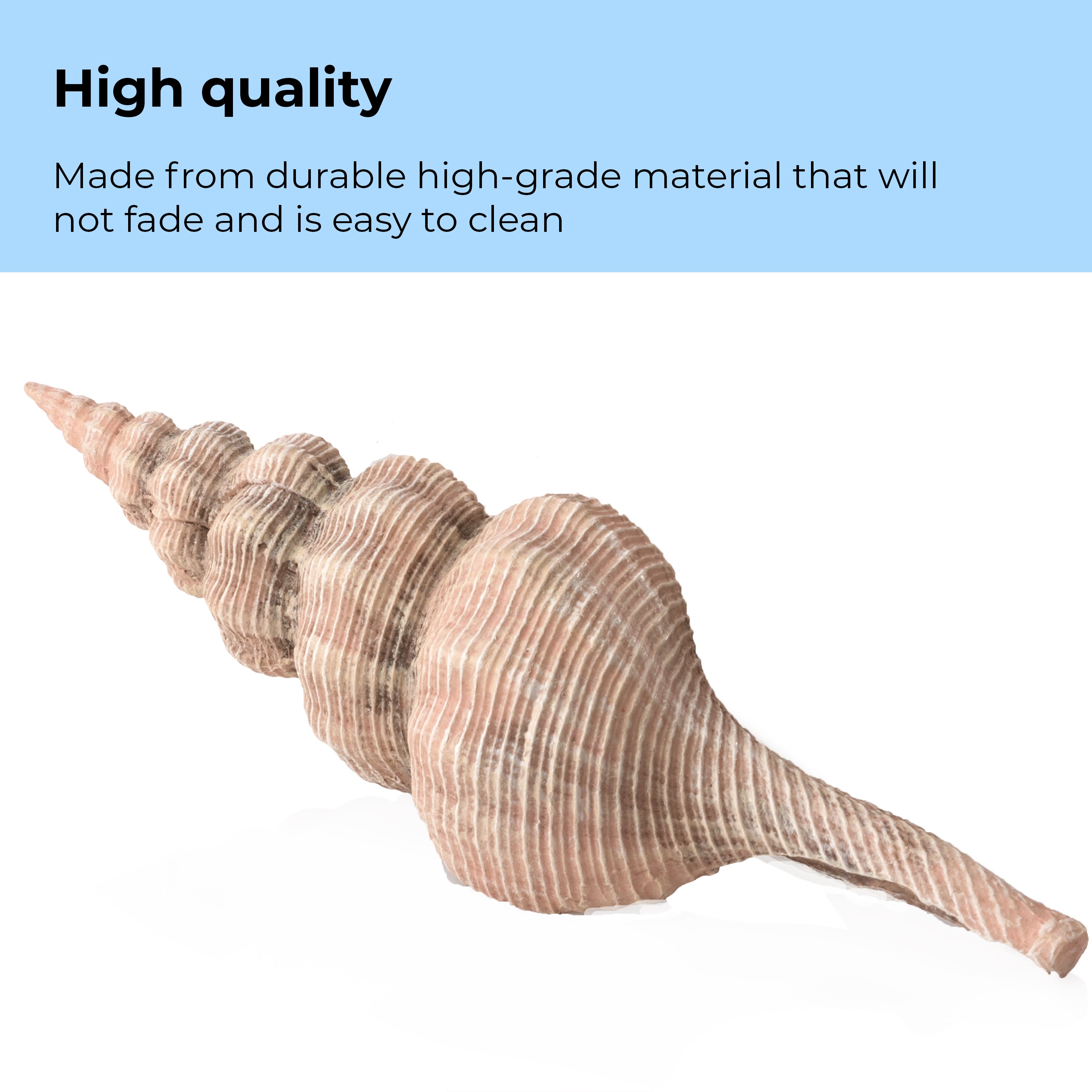 Sea Shell Set - High quality