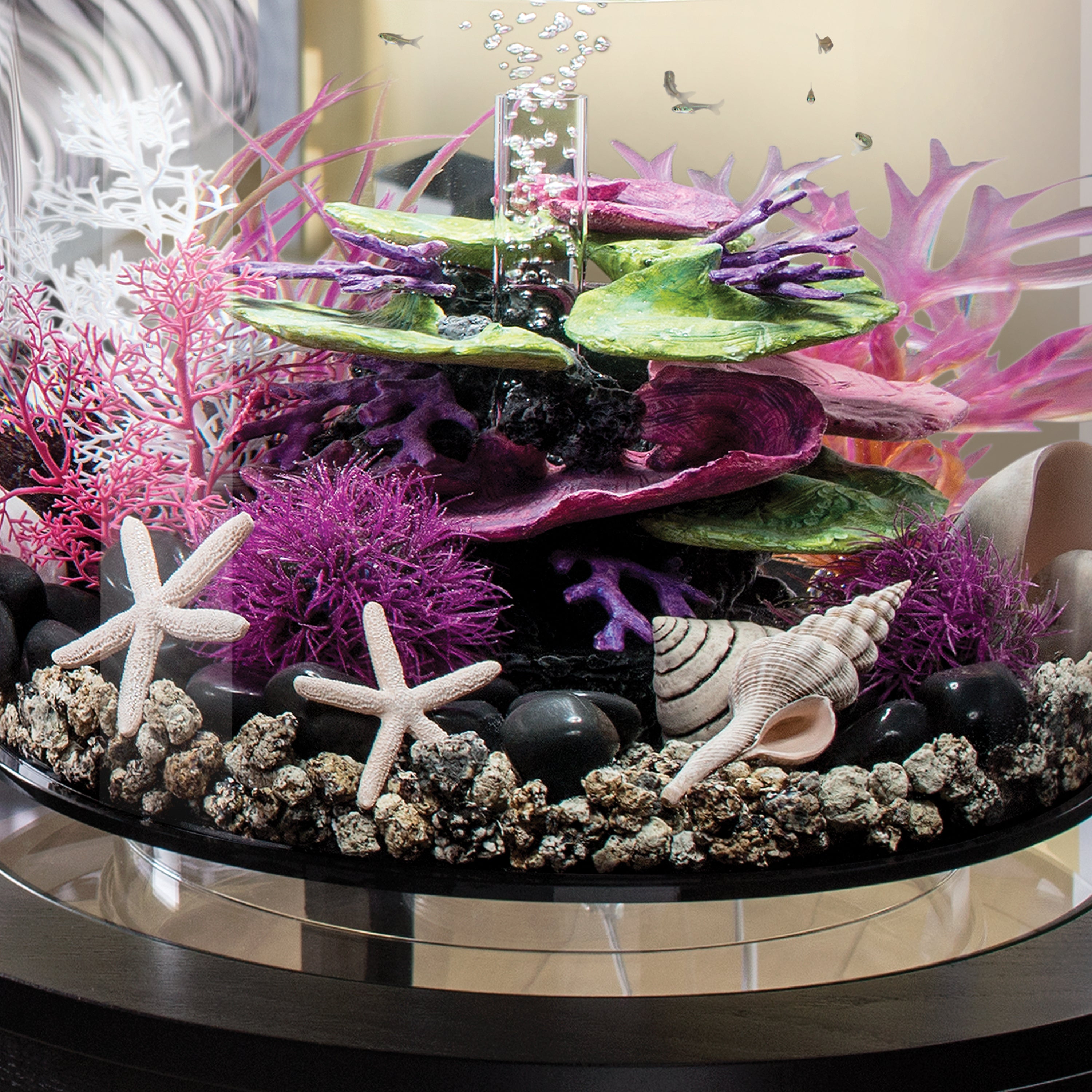 Sea Shell Set - Natural In use