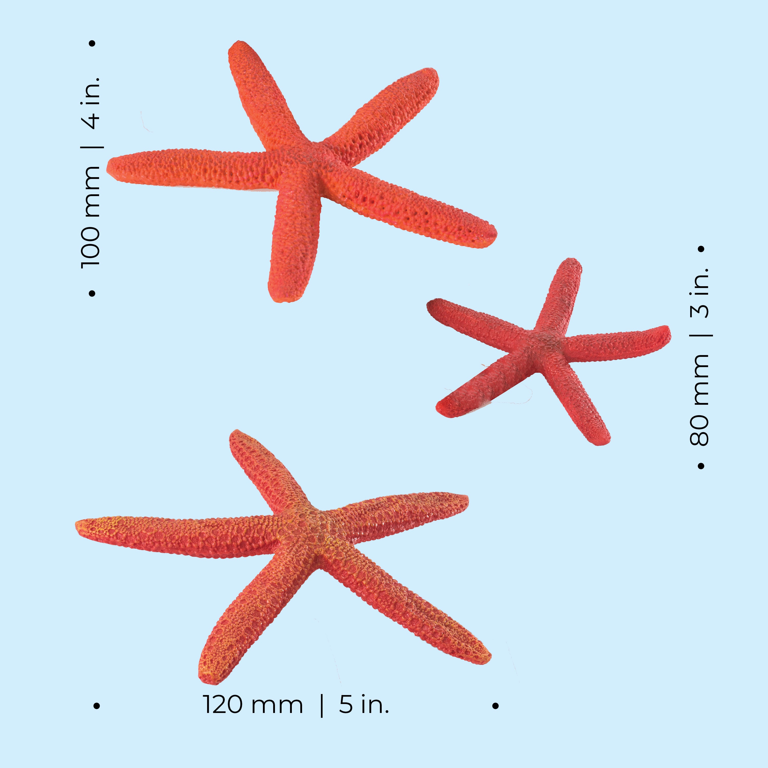 Starfish Set - Dimensions