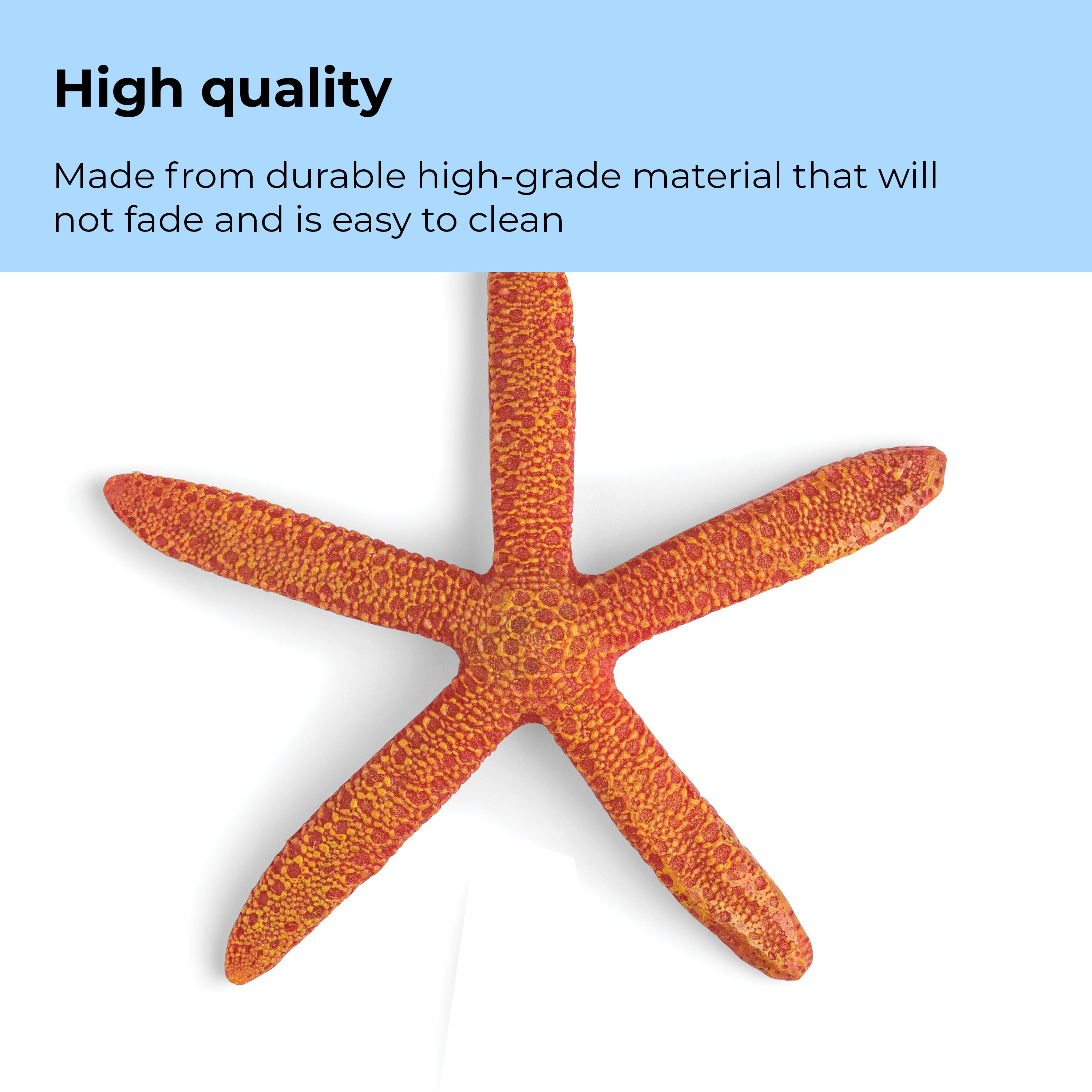 Starfish Set - High quality