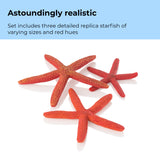 Starfish Set - Astoundingly realistic