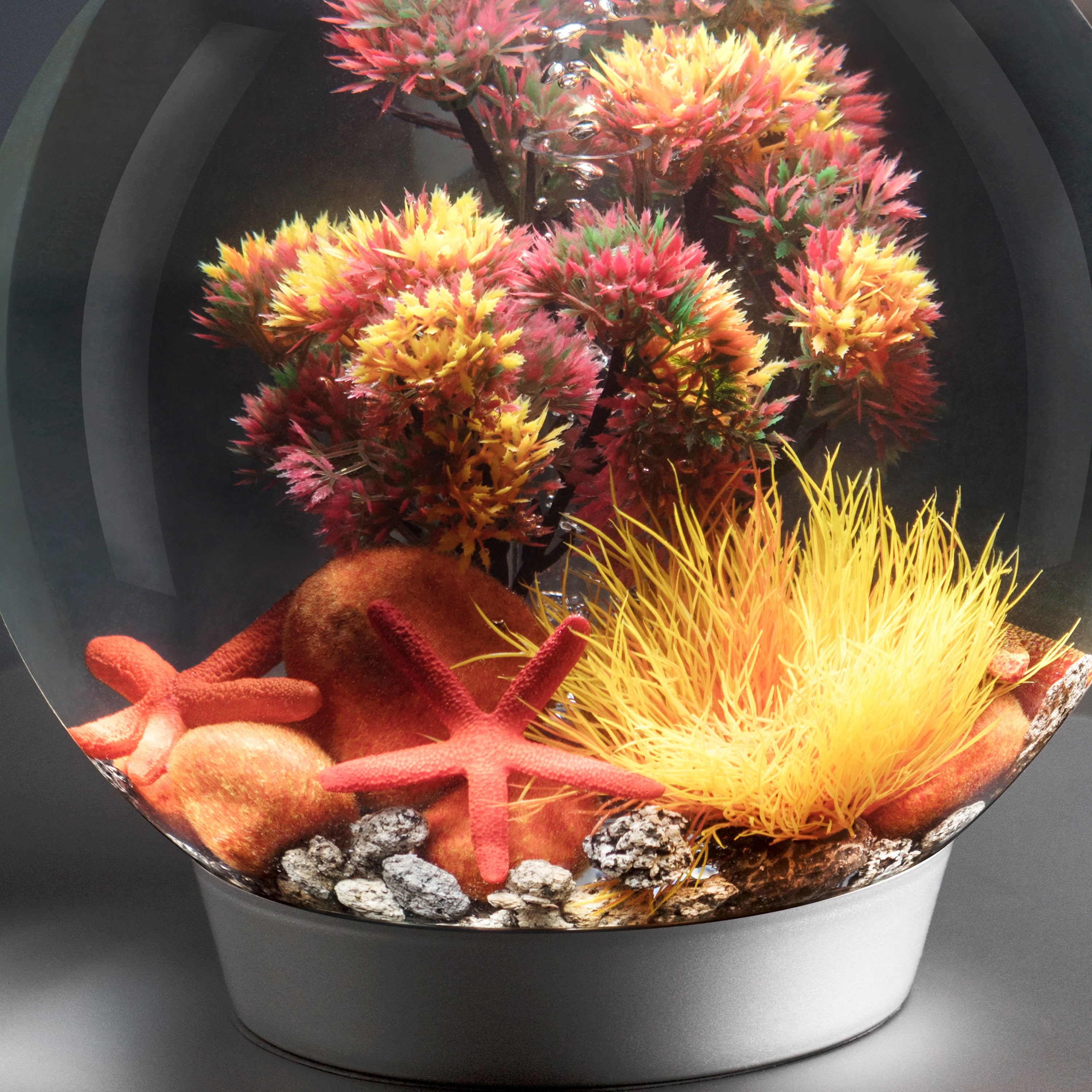 Starfish Set - Red In use