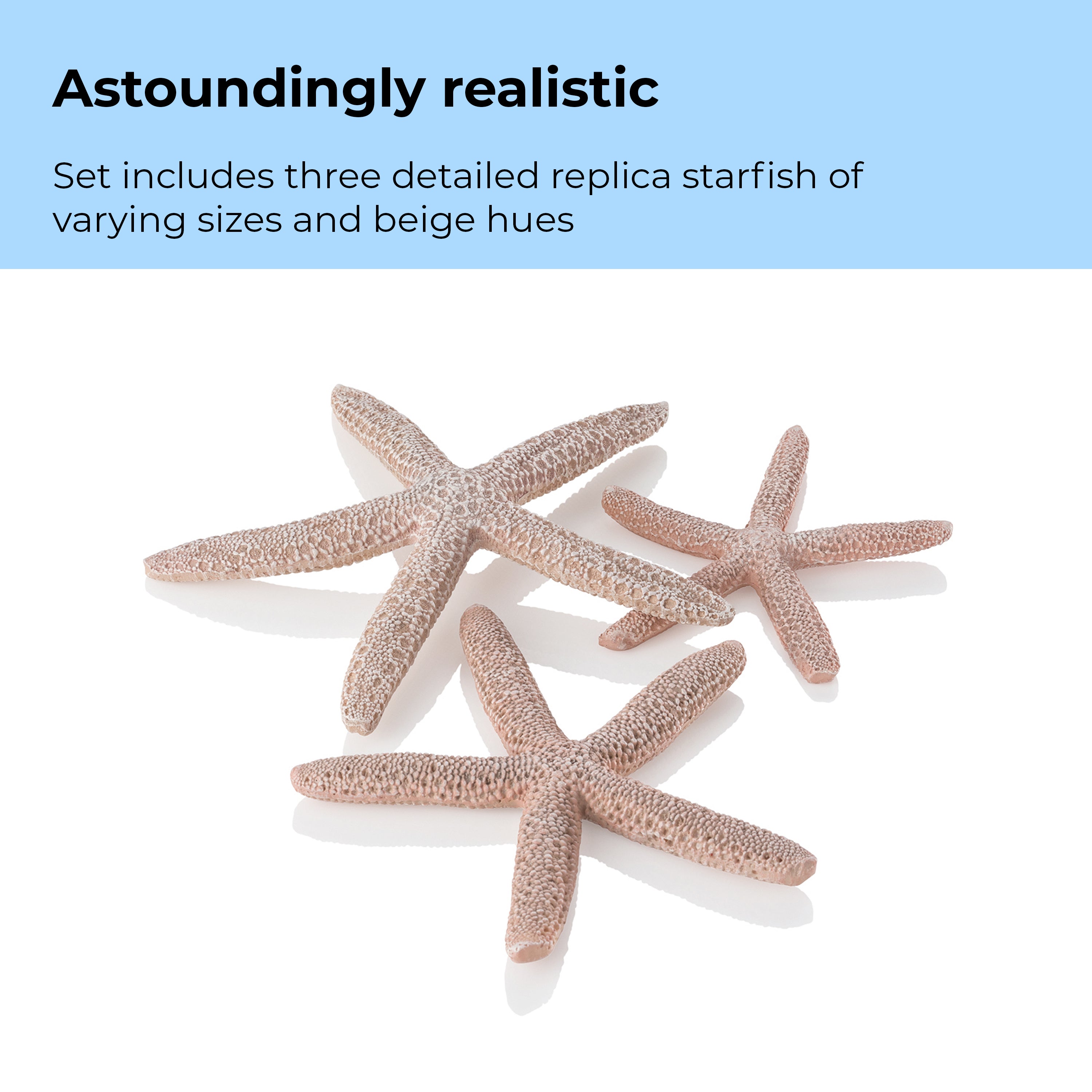 Starfish Set - Astoundingly realistic