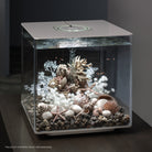 Coral with Shells Sculpture in use