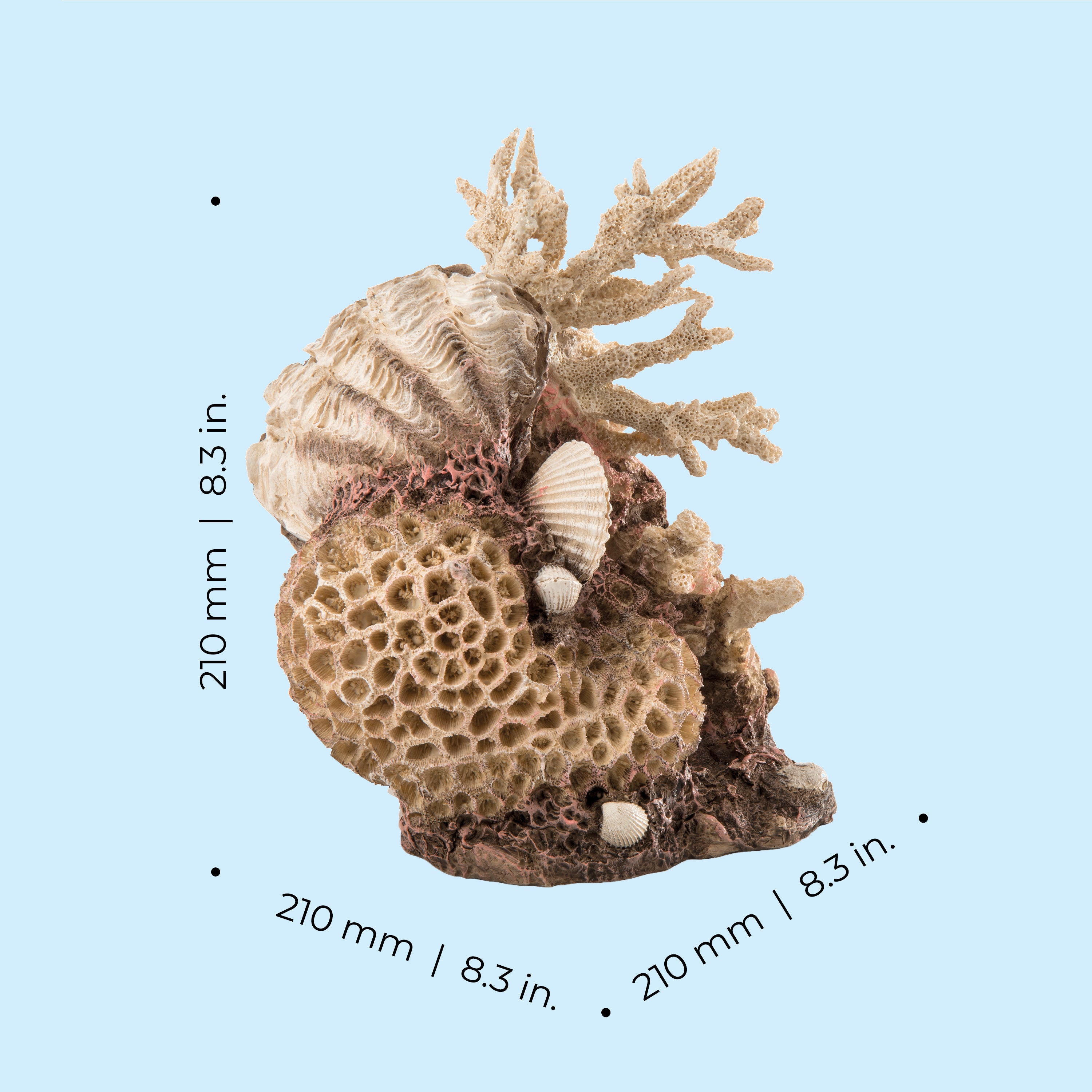 Coral with Shells Sculpture dimensions