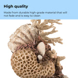 Coral with Shells Sculpture durable and easy to clean