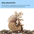 Coral with Shells Sculpture surrounds the biOrb bubble tube
