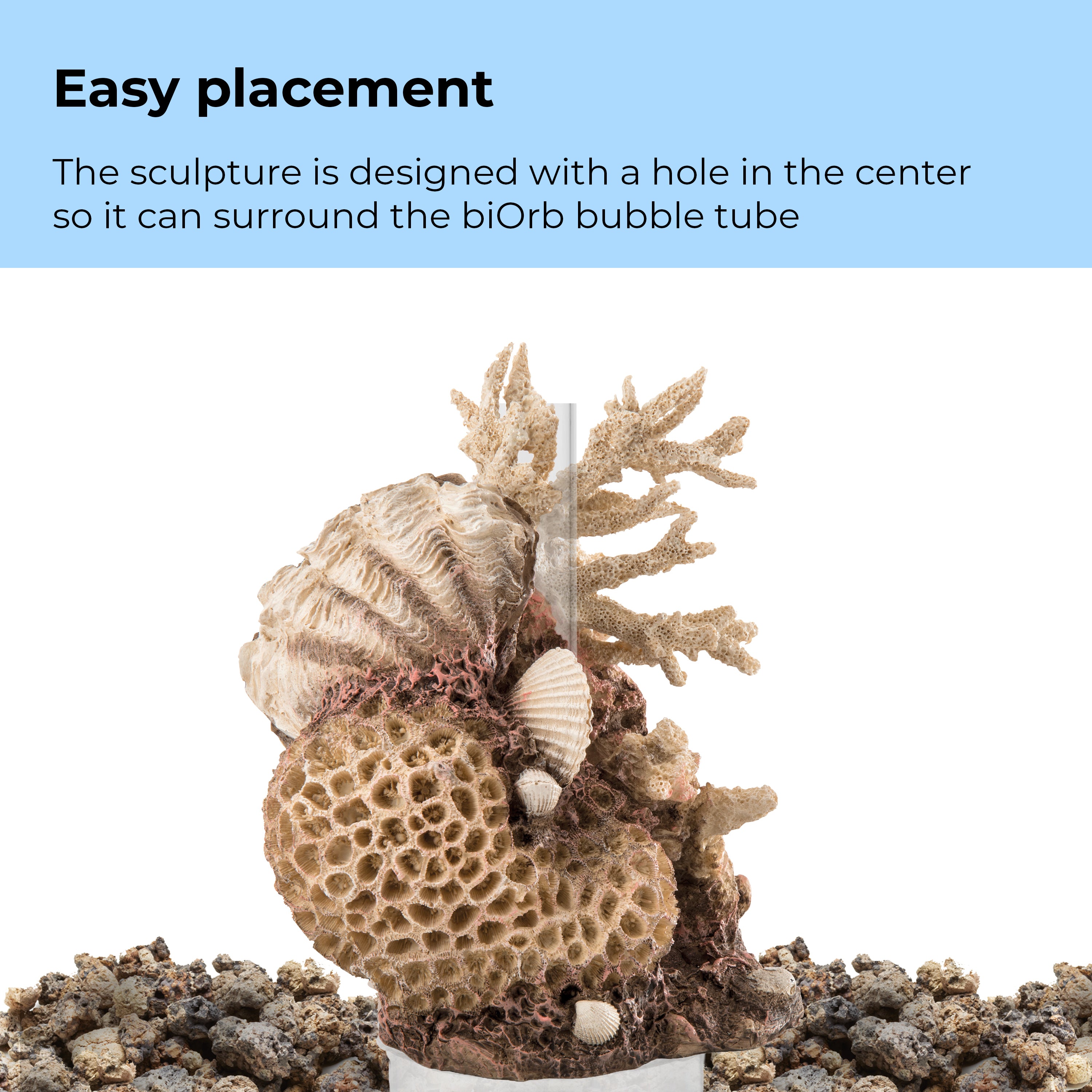 Coral with Shells Sculpture surrounds the biOrb bubble tube