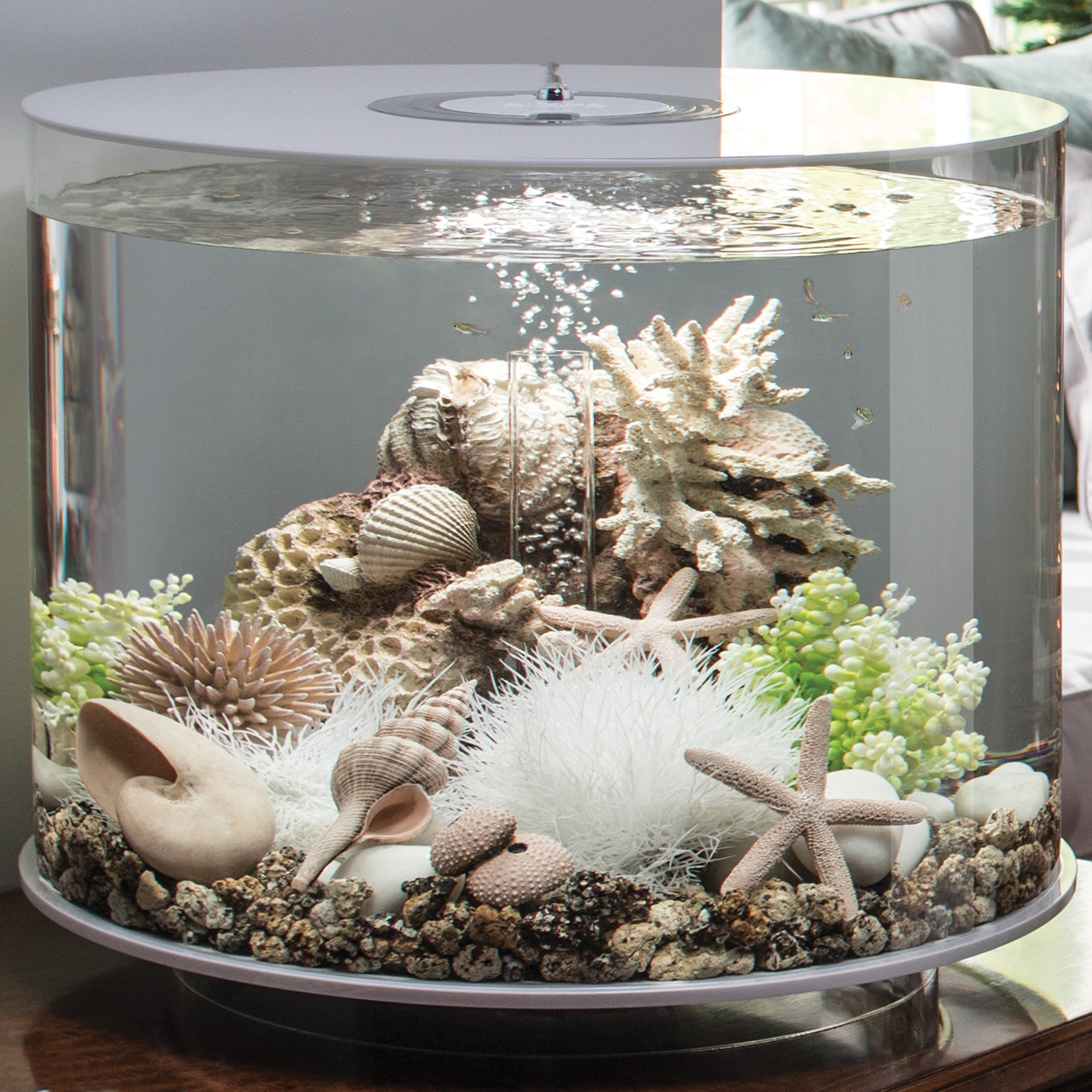 Coral with Shells Sculpture in use