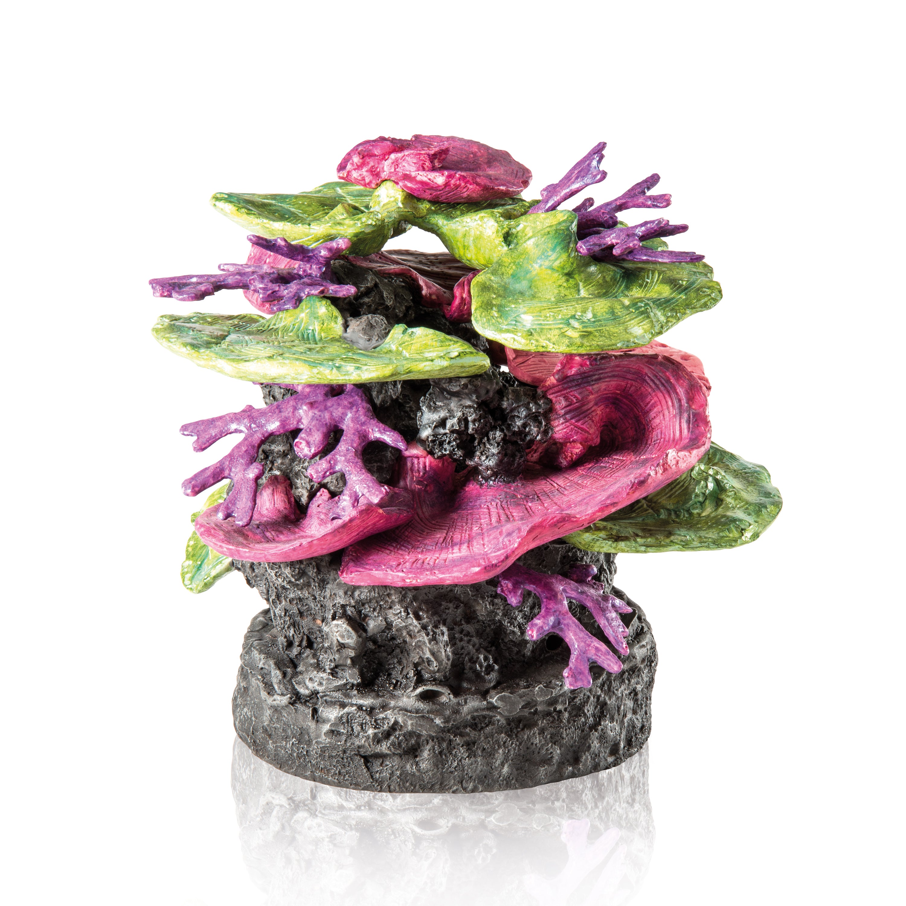 Green-Purple Coral Ridge Sculpture
