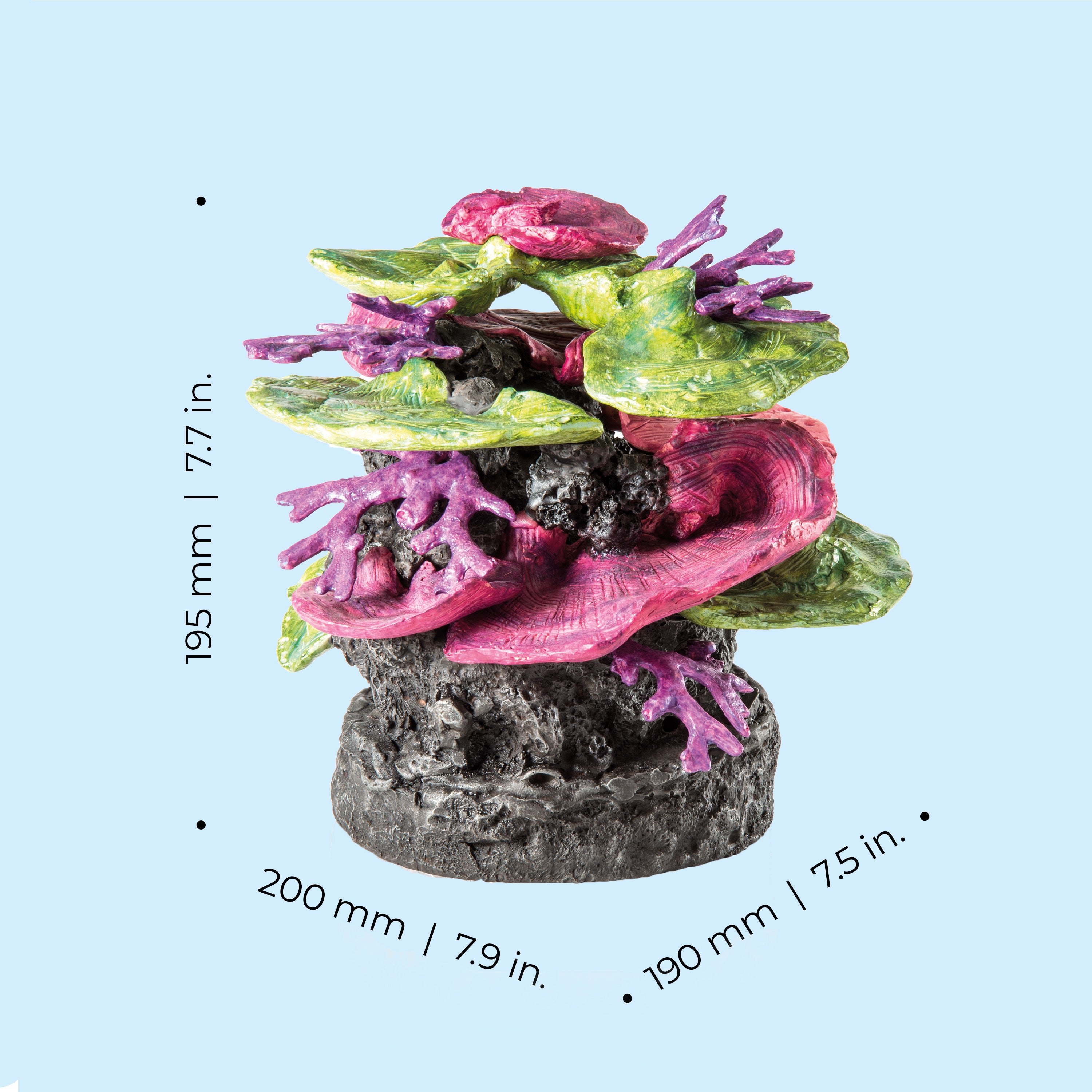 Green-Purple Coral Ridge Sculpture dimensions