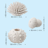Sea Urchins Set - Dimensions